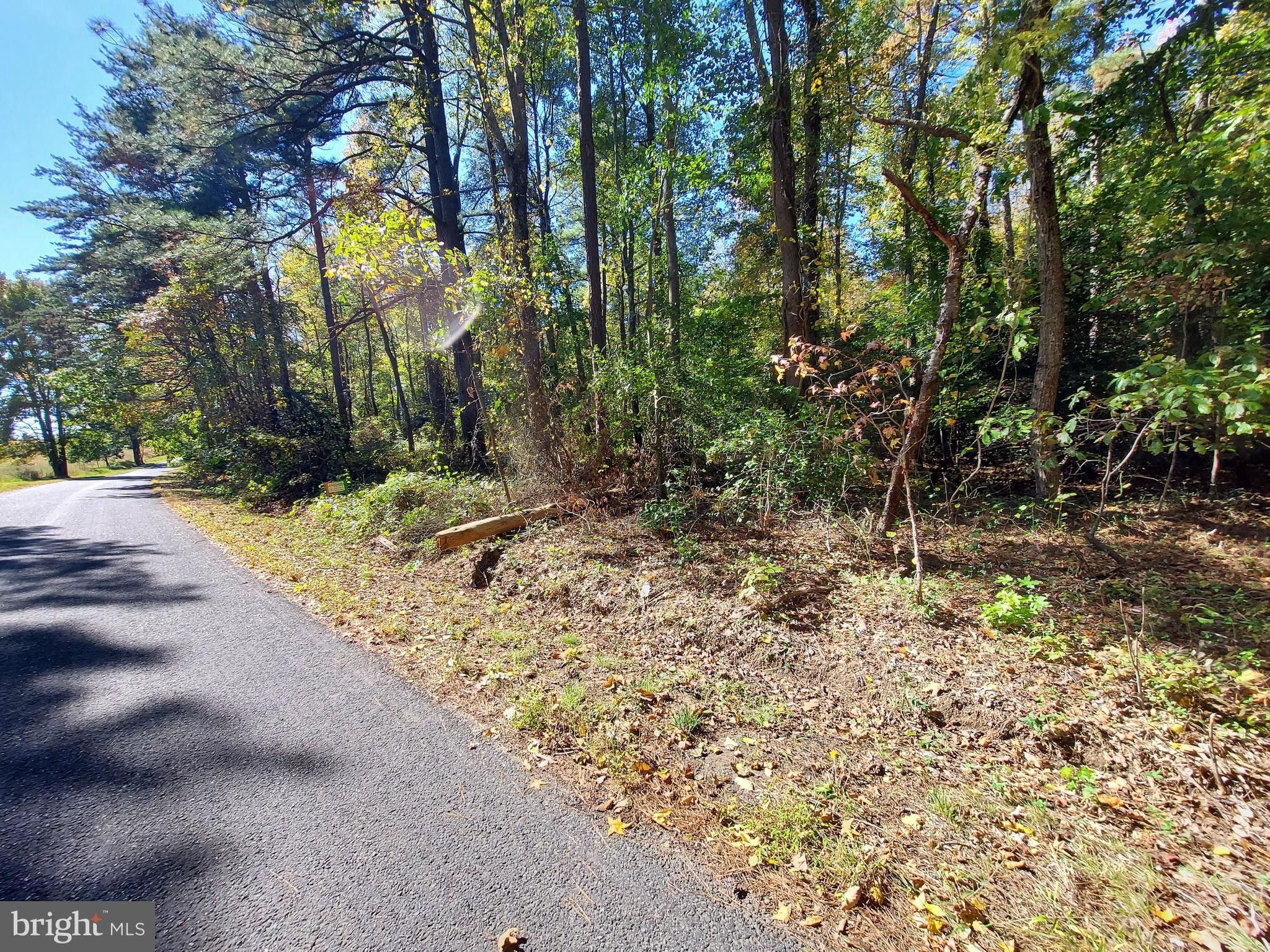 Shiloh, King County, VA Undeveloped Land for sale Property ID