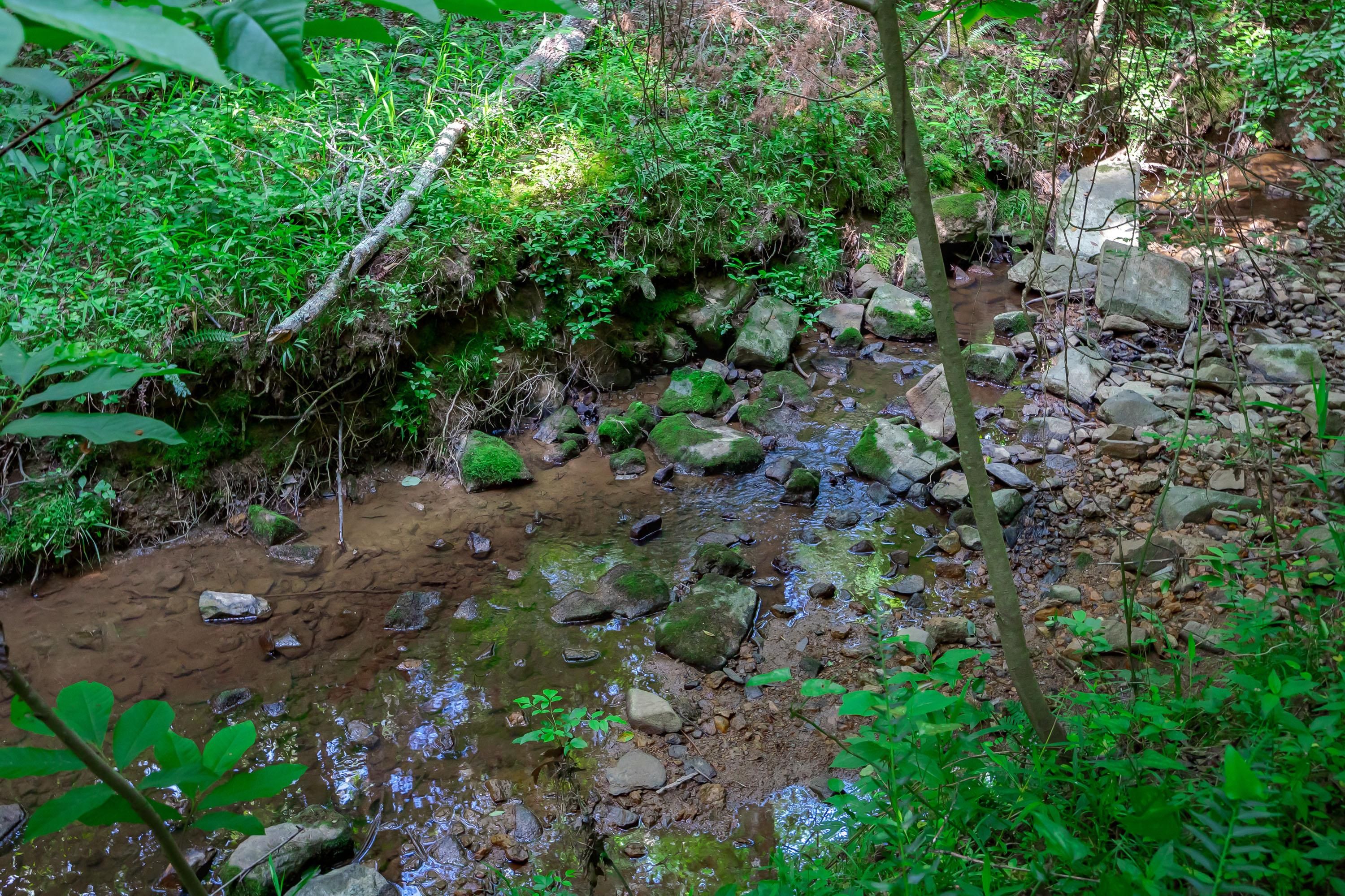 Saluda, Saluda County, SC Recreational Property, Timberland Property