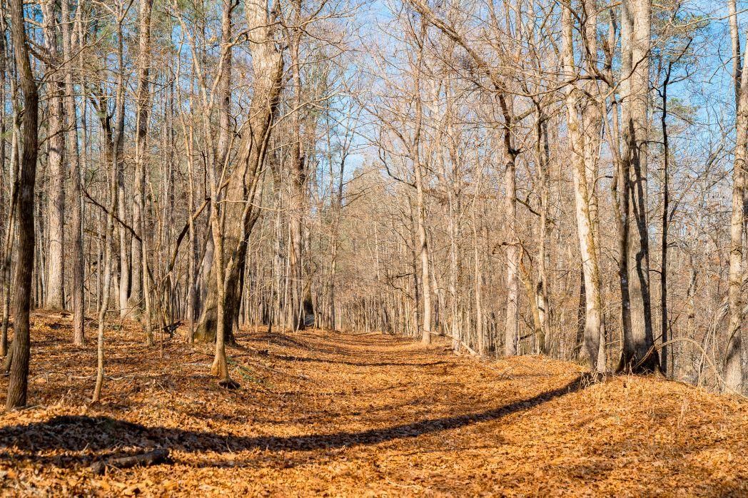 Rutledge, County, GA Recreational Property, Timberland Property