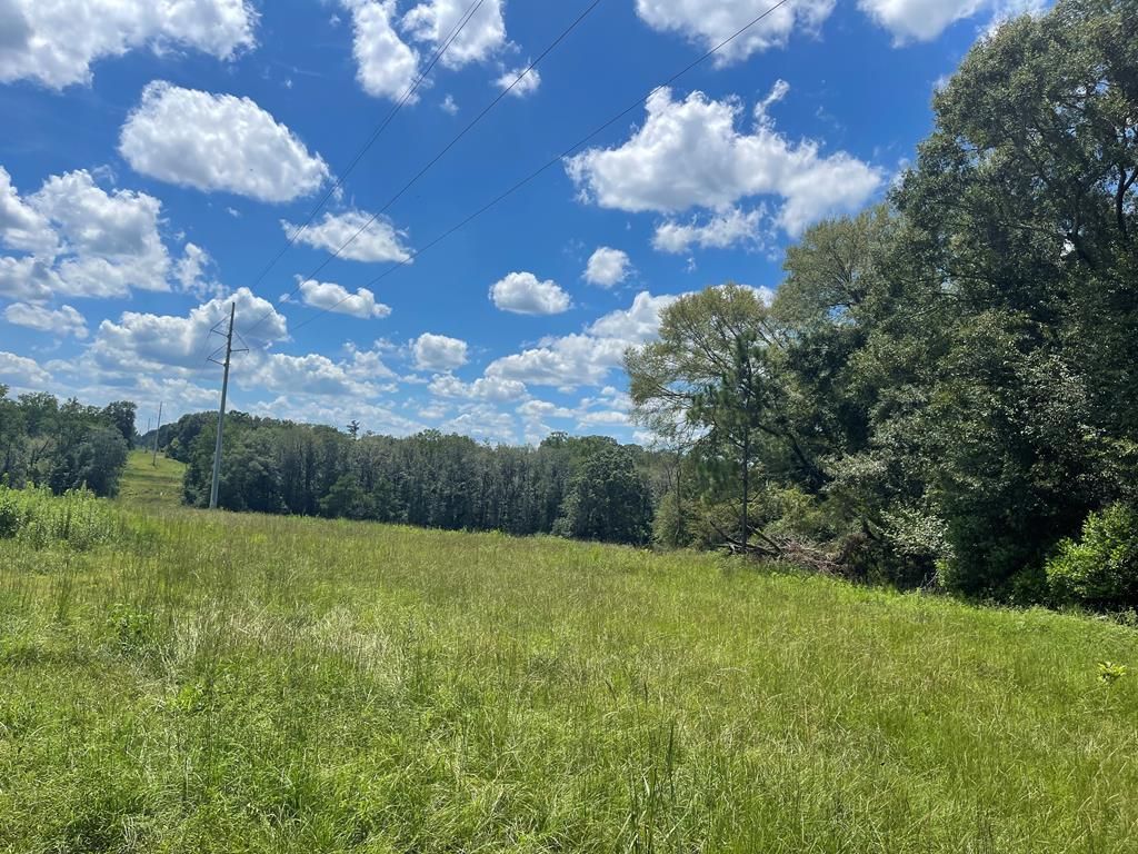 Goshen, Pike County, AL Farms and Ranches, Undeveloped Land, Hunting