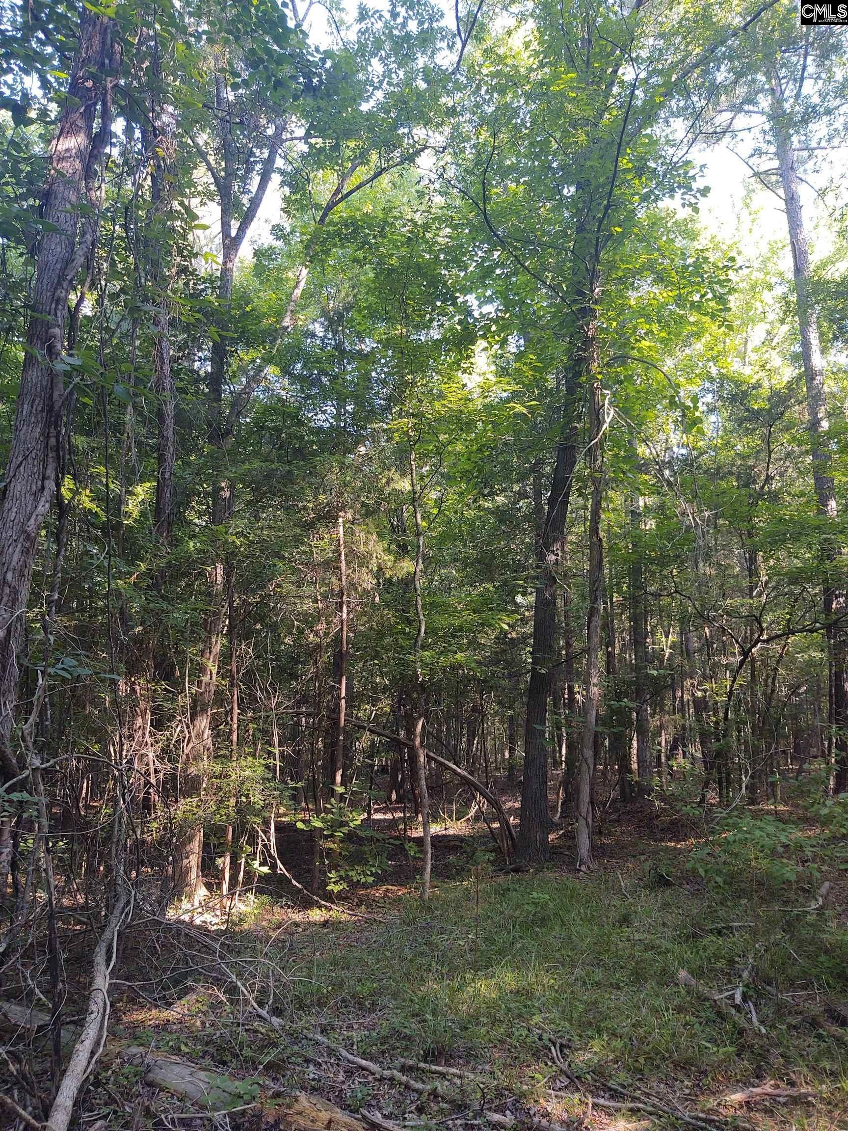 Irmo, Richland County, SC Undeveloped Land, Homesites for sale Property