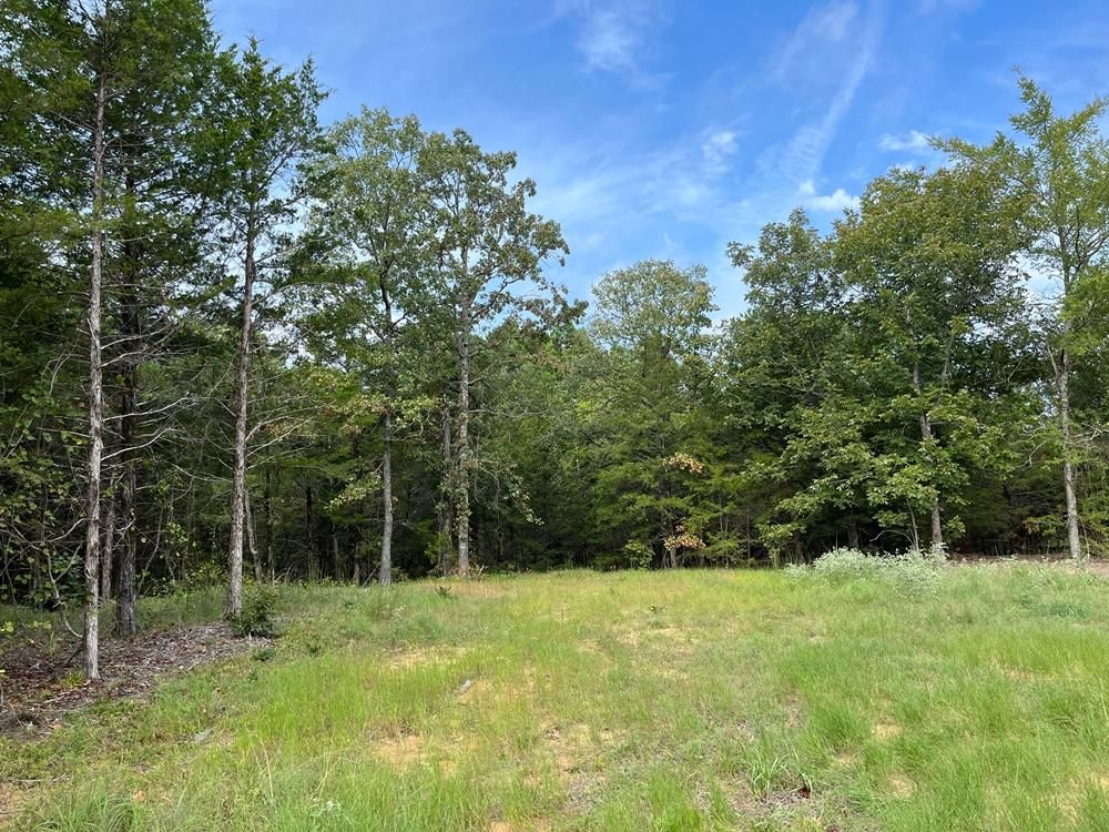 Atoka, Atoka County, OK for sale Property ID 417809211 LandWatch