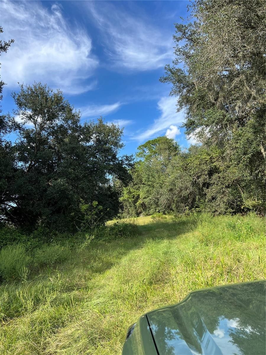 Bushnell, Sumter County, FL Undeveloped Land for sale Property ID 417809347 LandWatch