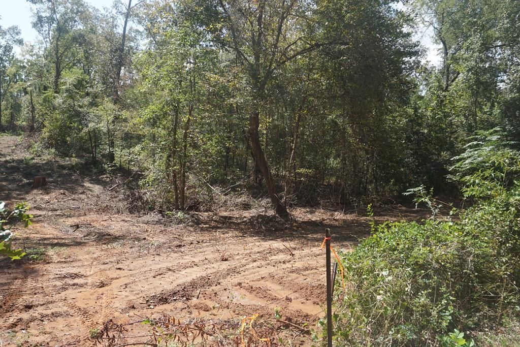 Palestine, Anderson County, TX Recreational Property, Timberland