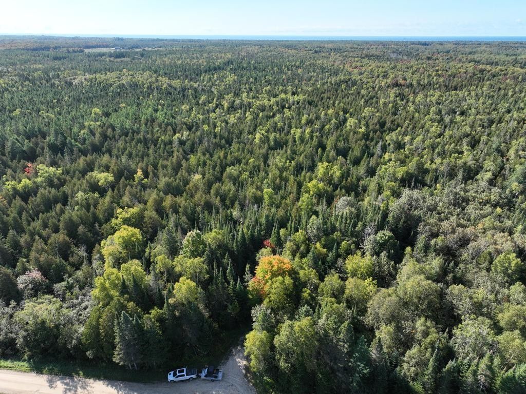 Gulliver, Schoolcraft County, MI Undeveloped Land for sale Property ID