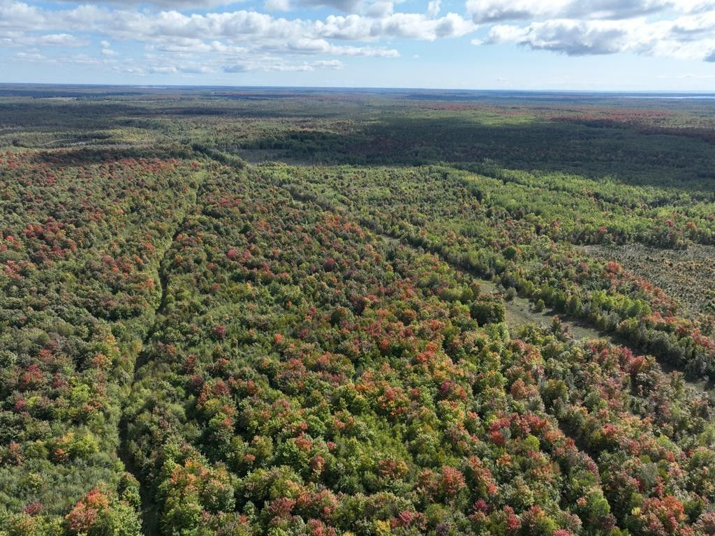 Gulliver, Schoolcraft County, MI Undeveloped Land for sale Property ID