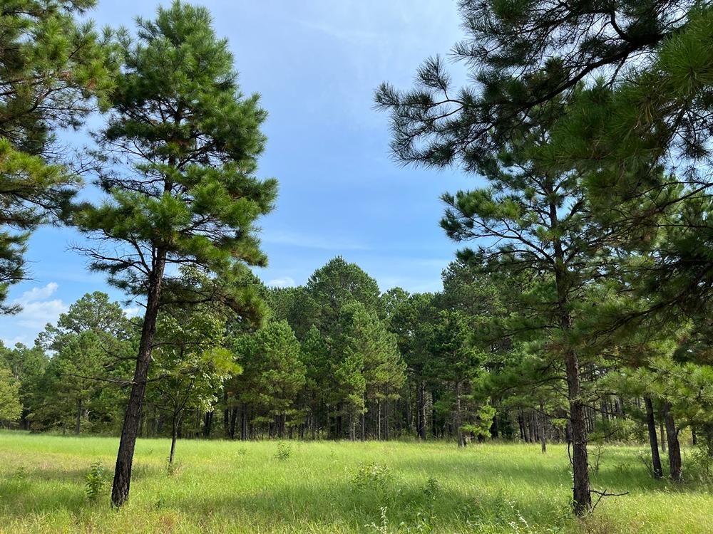 2.93 acres in Atoka, OK, 74525 LandWatch