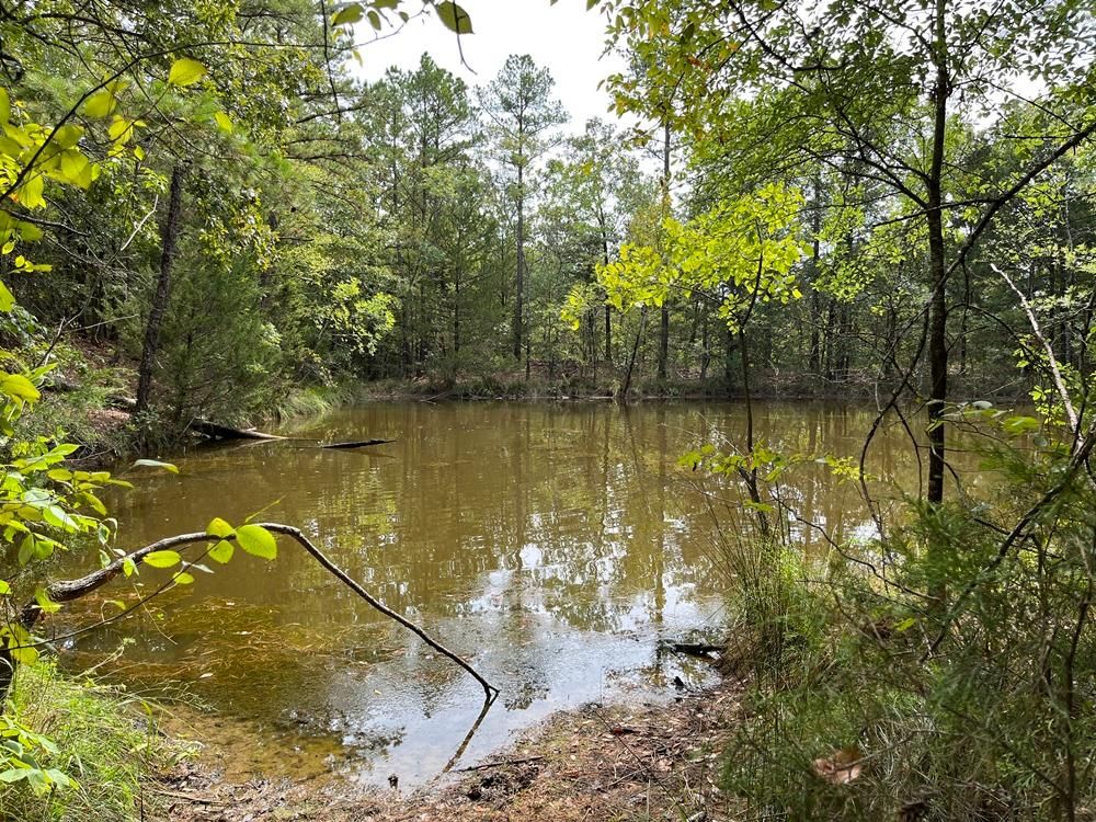 5.61 acres in Atoka, OK, 74525 LandWatch