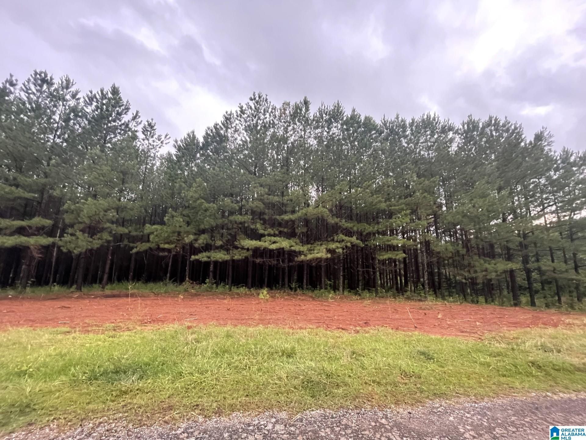Woodland, Randolph County, AL Undeveloped Land for sale Property ID