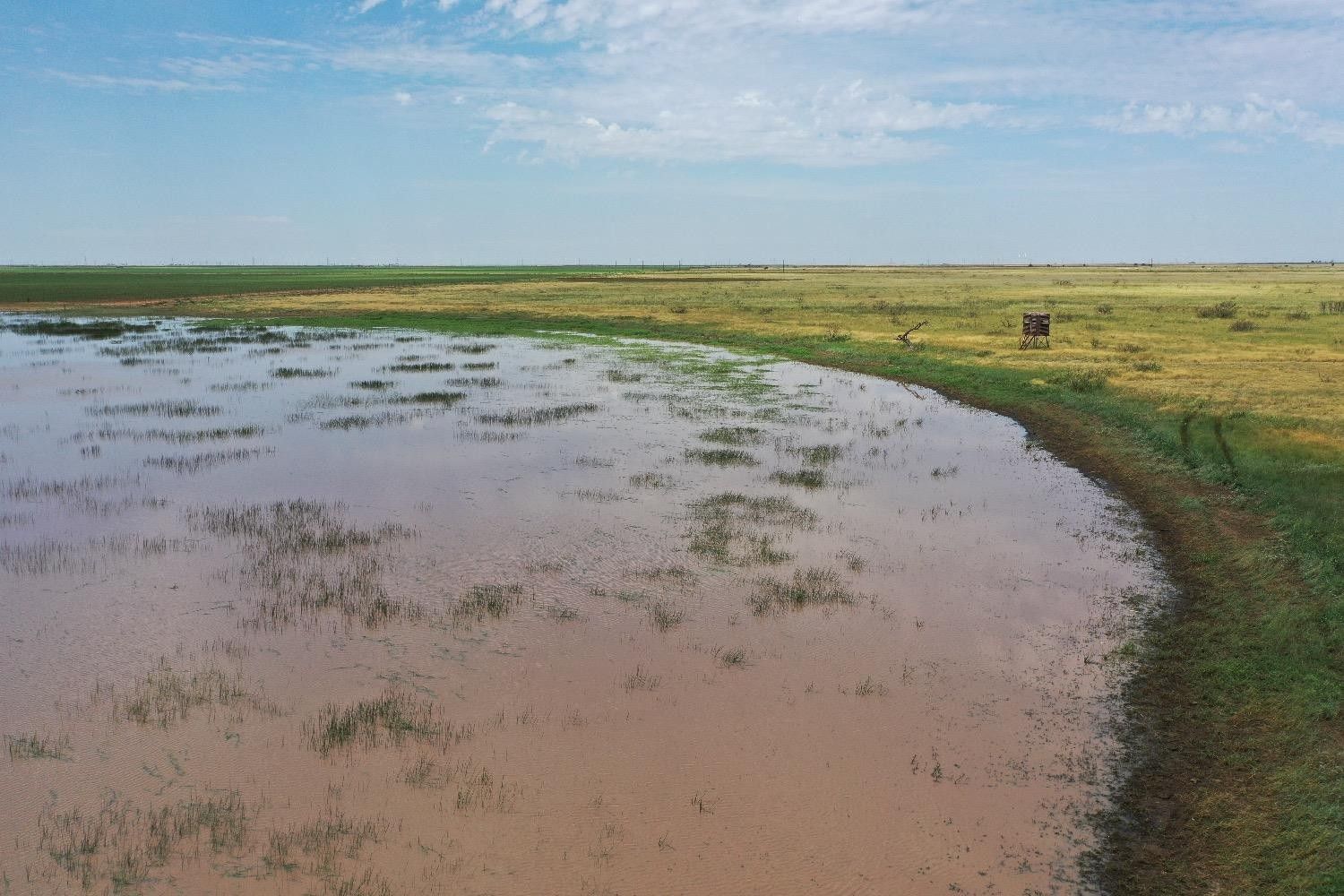 261 FM 261, Floydada, TX 79241 MLS 202309446 LandWatch