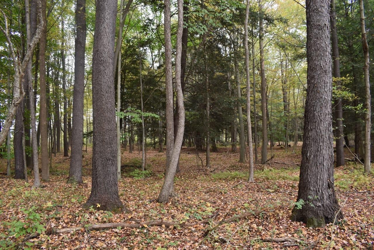 Jamestown, Chautauqua County, NY Recreational Property, Undeveloped