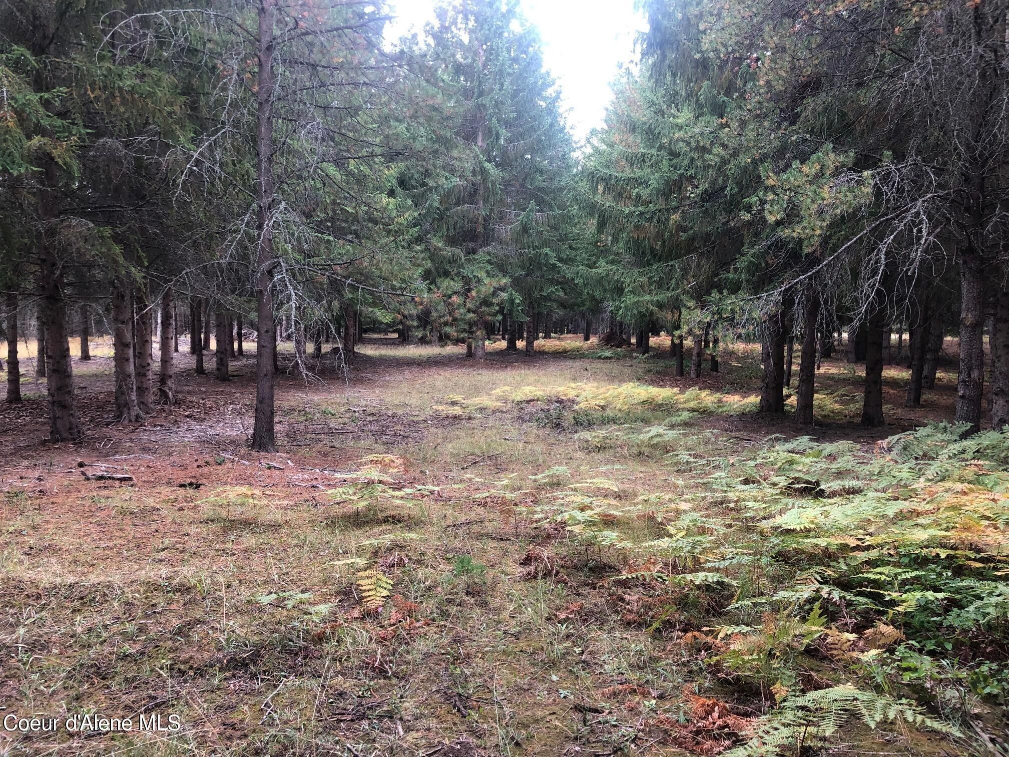 Naples, Boundary County, ID Undeveloped Land, Homesites for sale