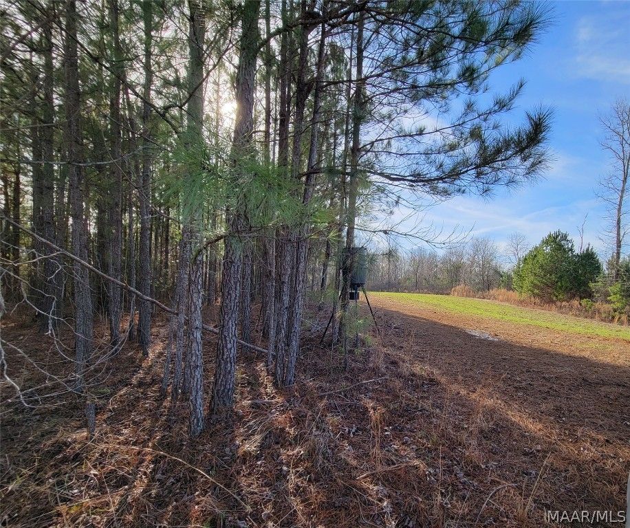 Tuskegee, Macon County, AL House for sale Property ID 415646893