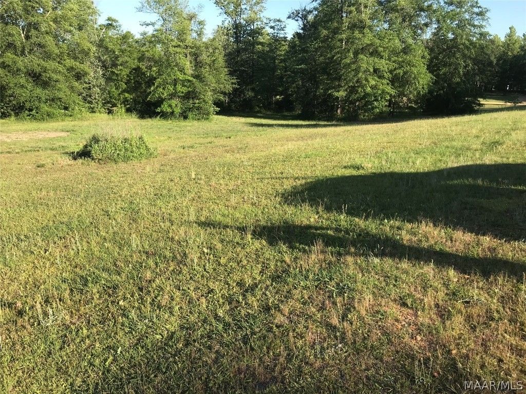 118 FOX Run, Deatsville, AL 36022 MLS 472180 LandWatch