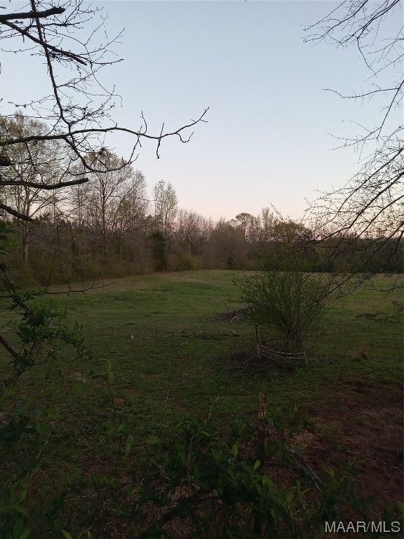 Greensboro, Hale County, AL Undeveloped Land for sale Property ID