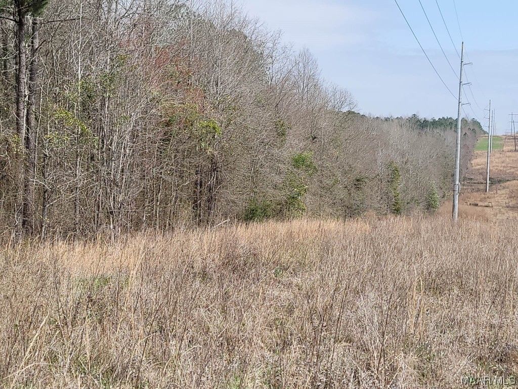 Eclectic, Elmore County, AL Undeveloped Land for sale Property ID