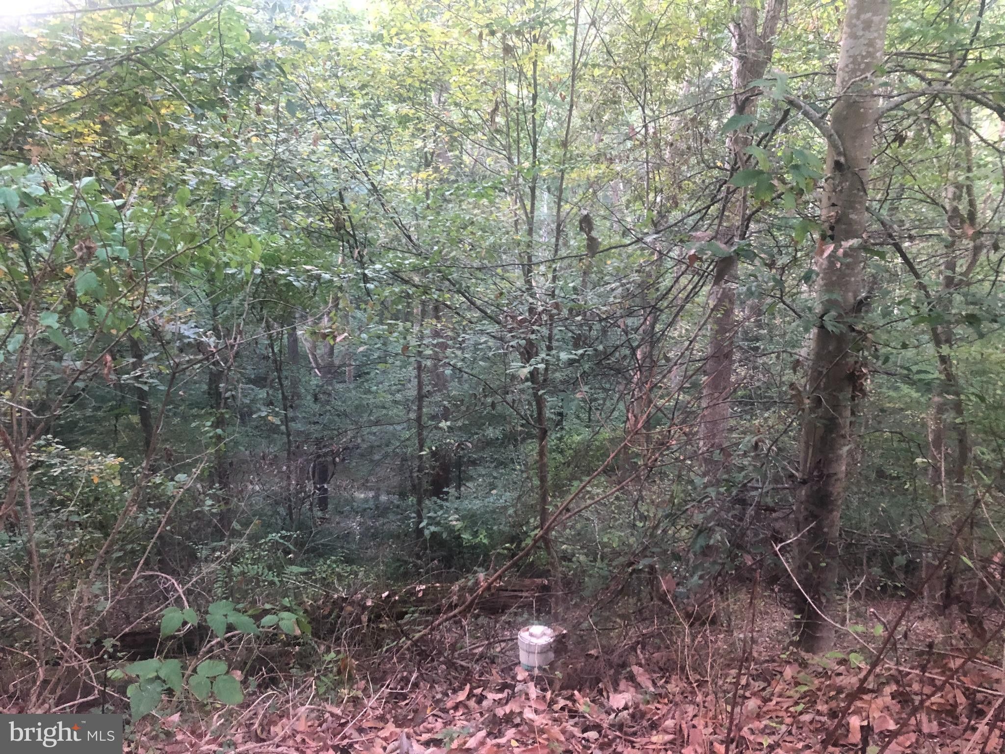 New Market, Frederick County, MD Undeveloped Land, Homesites for sale