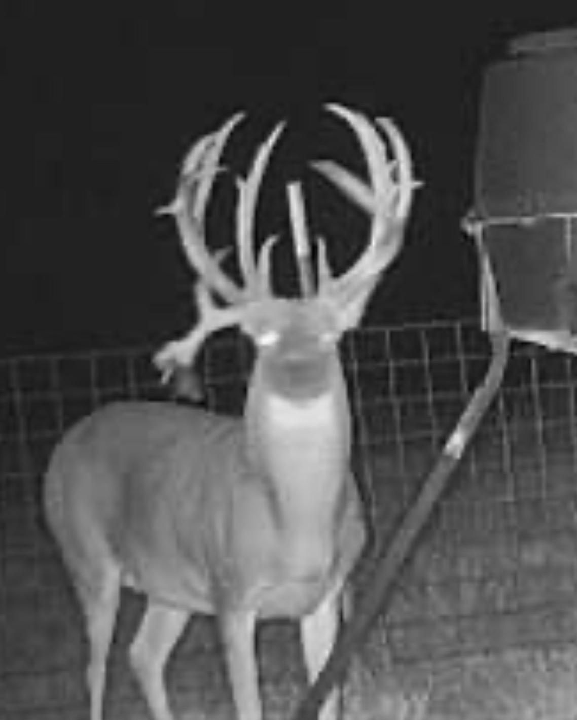 40 acres in Meeker, OK, 74855 LandWatch