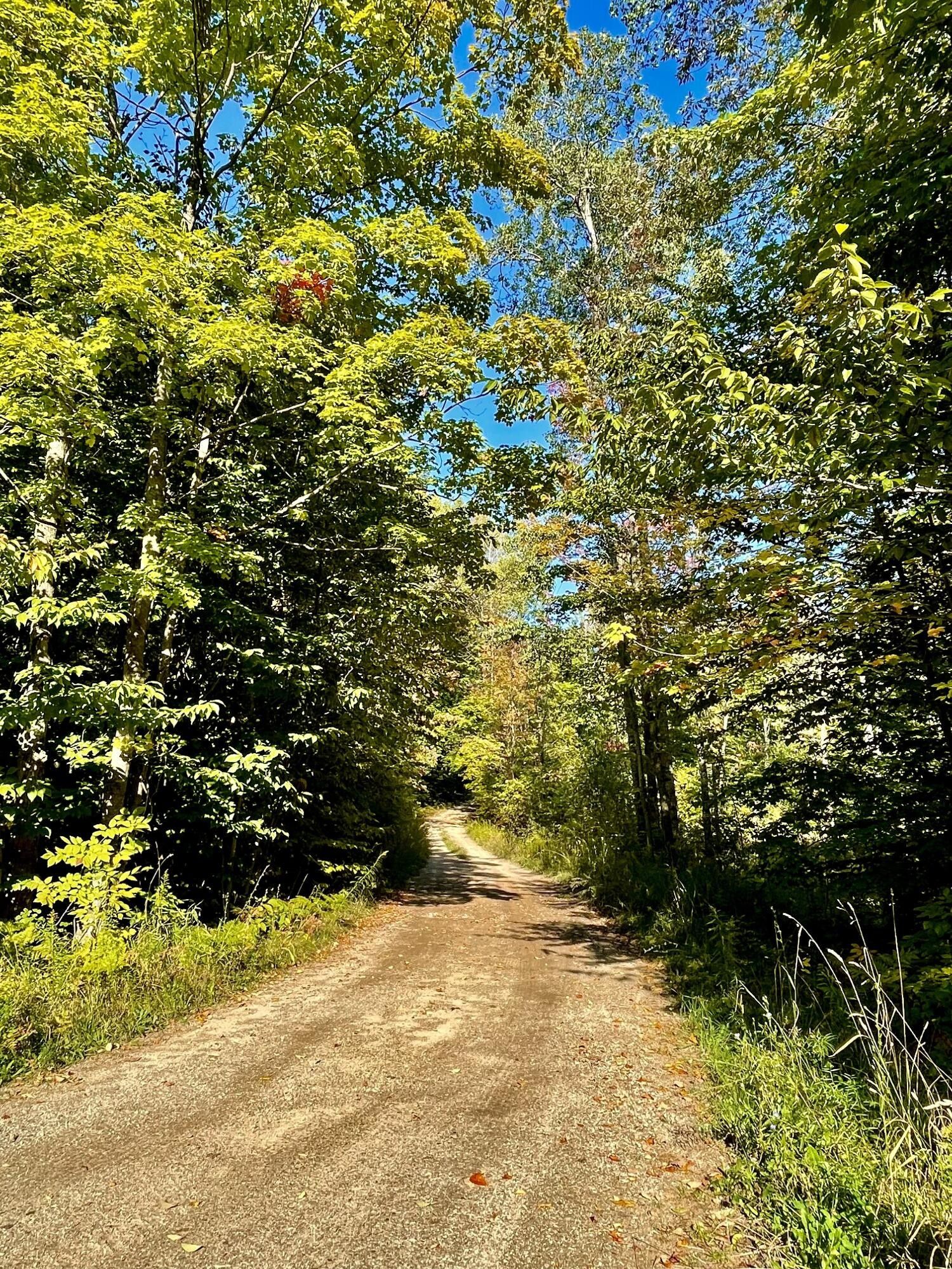 East Jordan, Antrim County, MI Undeveloped Land, Lakefront Property
