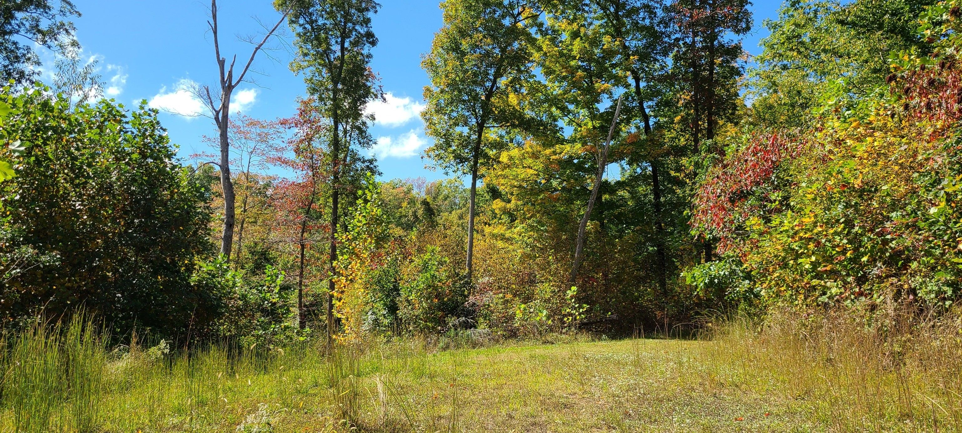 Nashville, Brown County, IN Undeveloped Land for sale Property ID