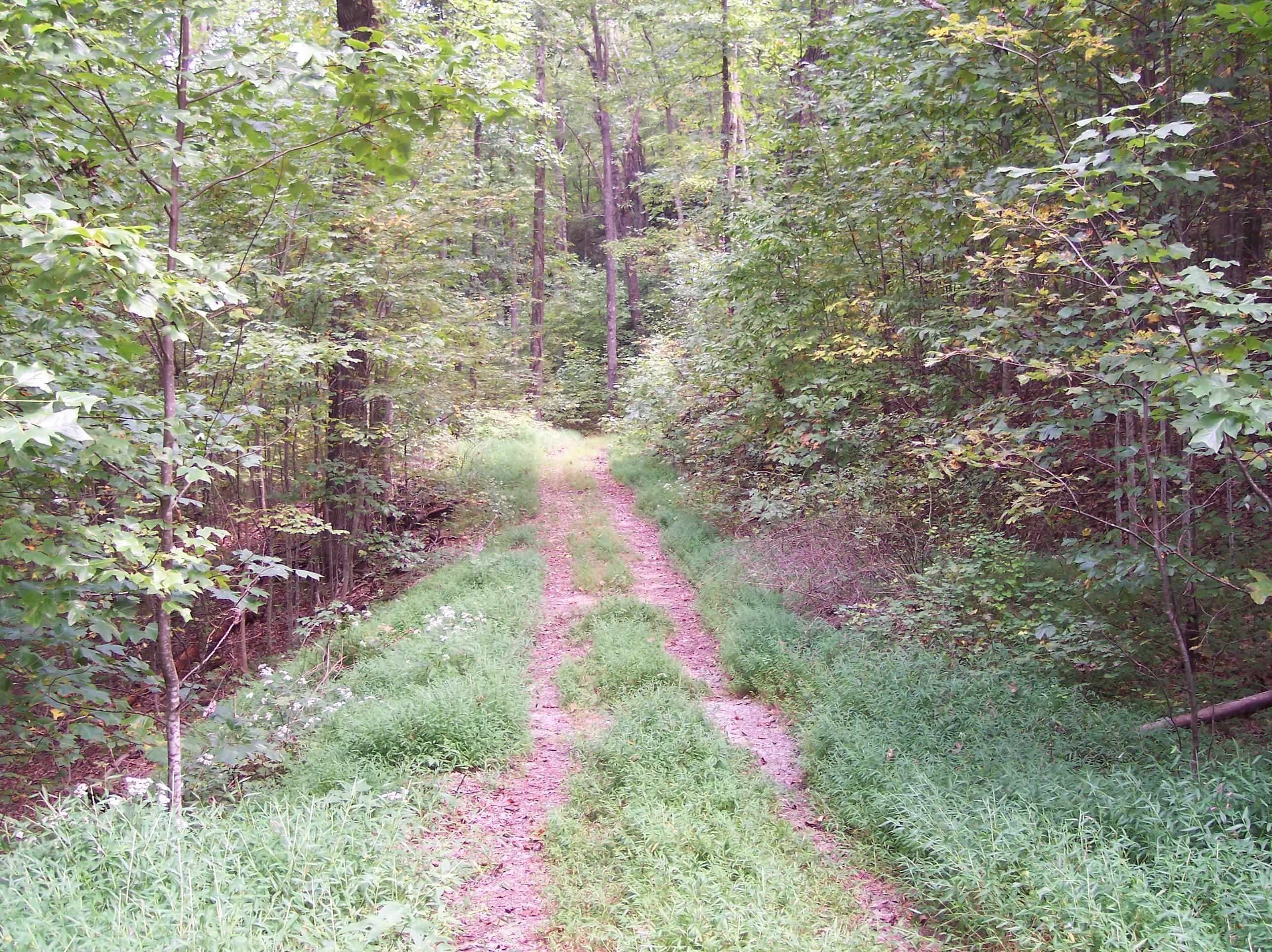 Clayton, Rabun County, GA Undeveloped Land for sale Property ID