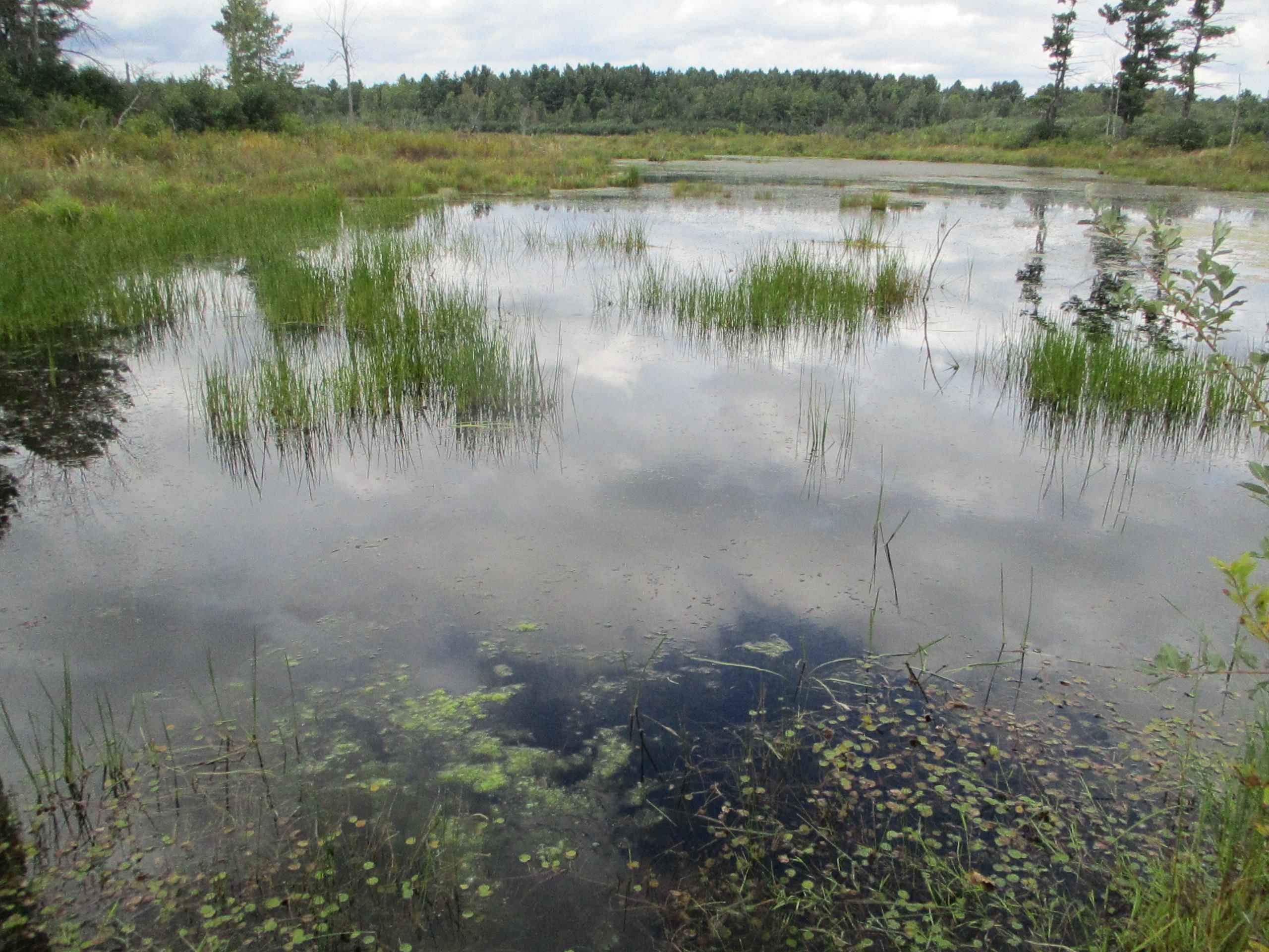 Potsdam, Saint Lawrence County, NY Undeveloped Land for sale Property ID 417811639 LandWatch