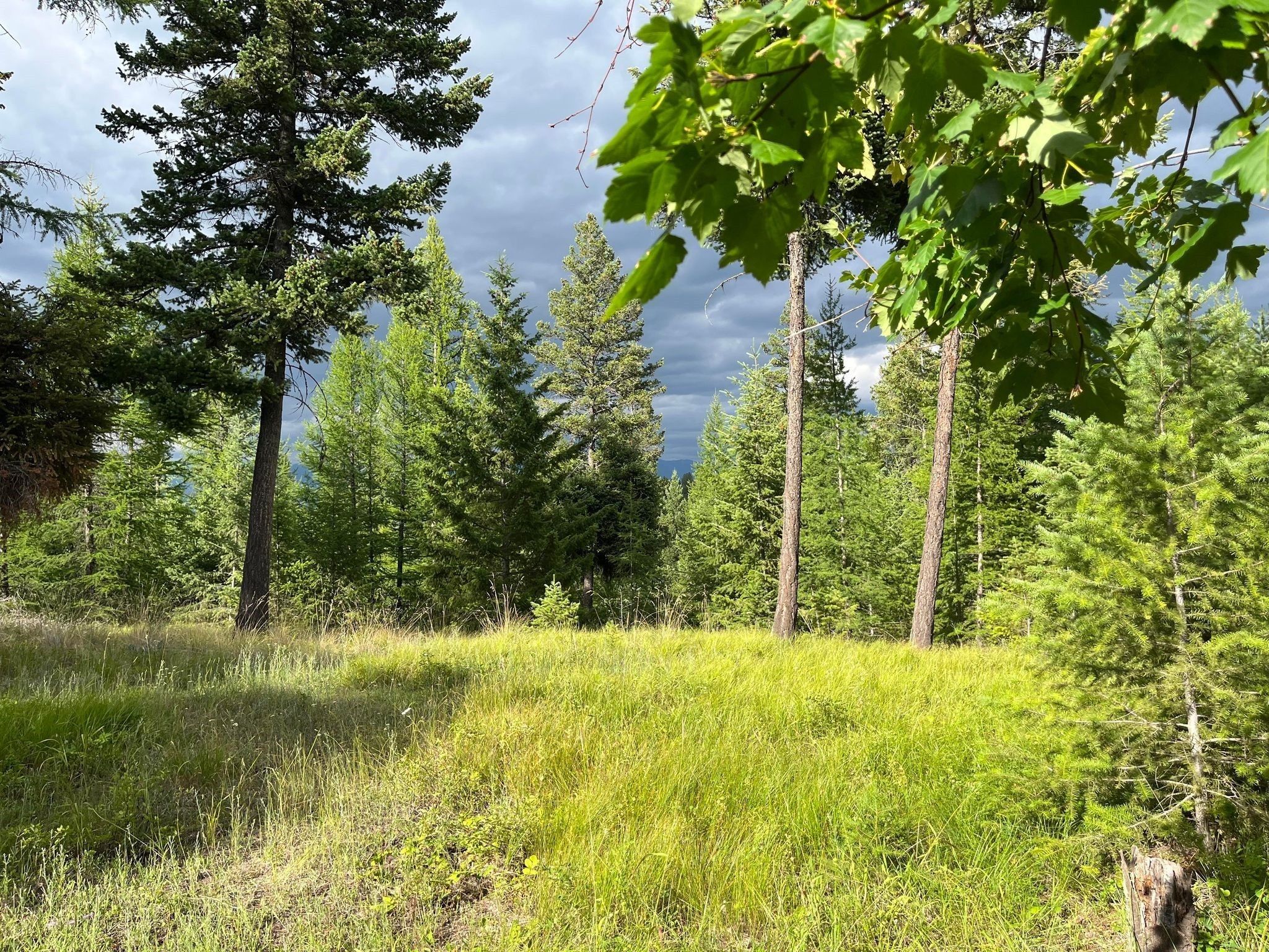 Somers, Flathead County, MT Undeveloped Land for sale Property ID