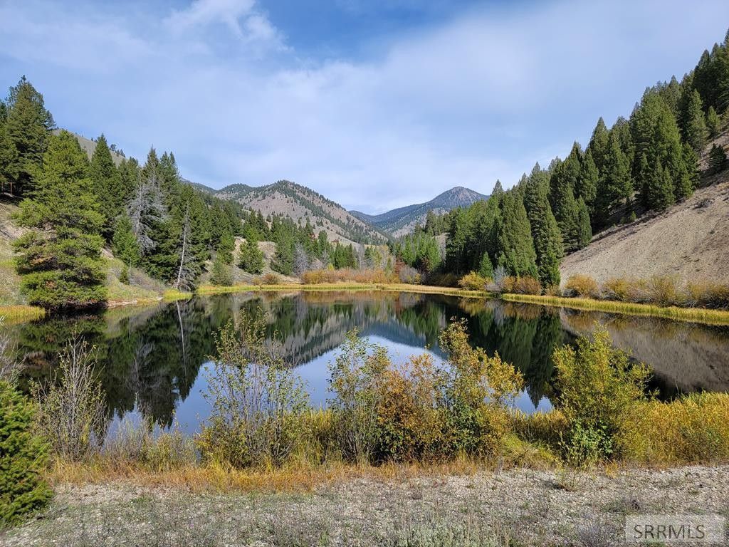Shoup, Lemhi County, ID Undeveloped Land, Lakefront Property