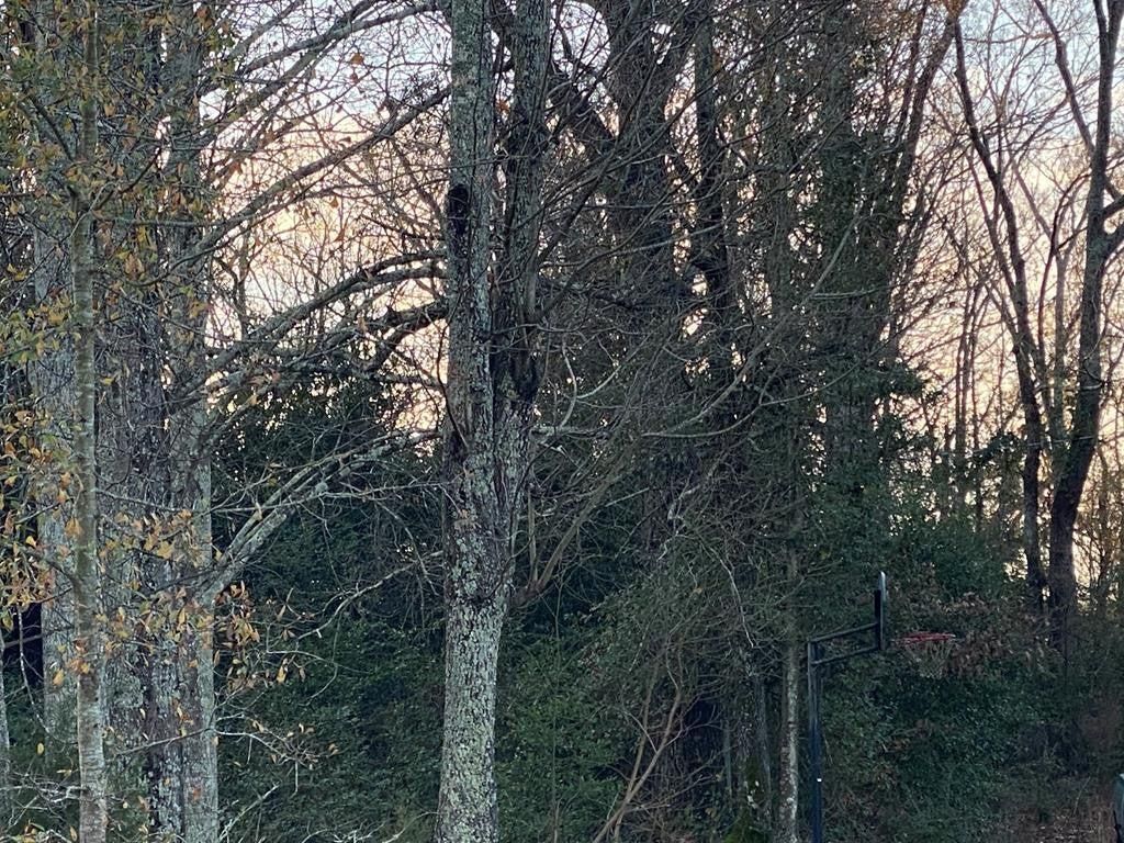 Blythe, Richmond County, GA Recreational Property, Undeveloped Land