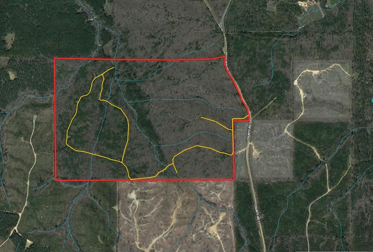 Eupora, ster County, MS Recreational Property, Timberland Property