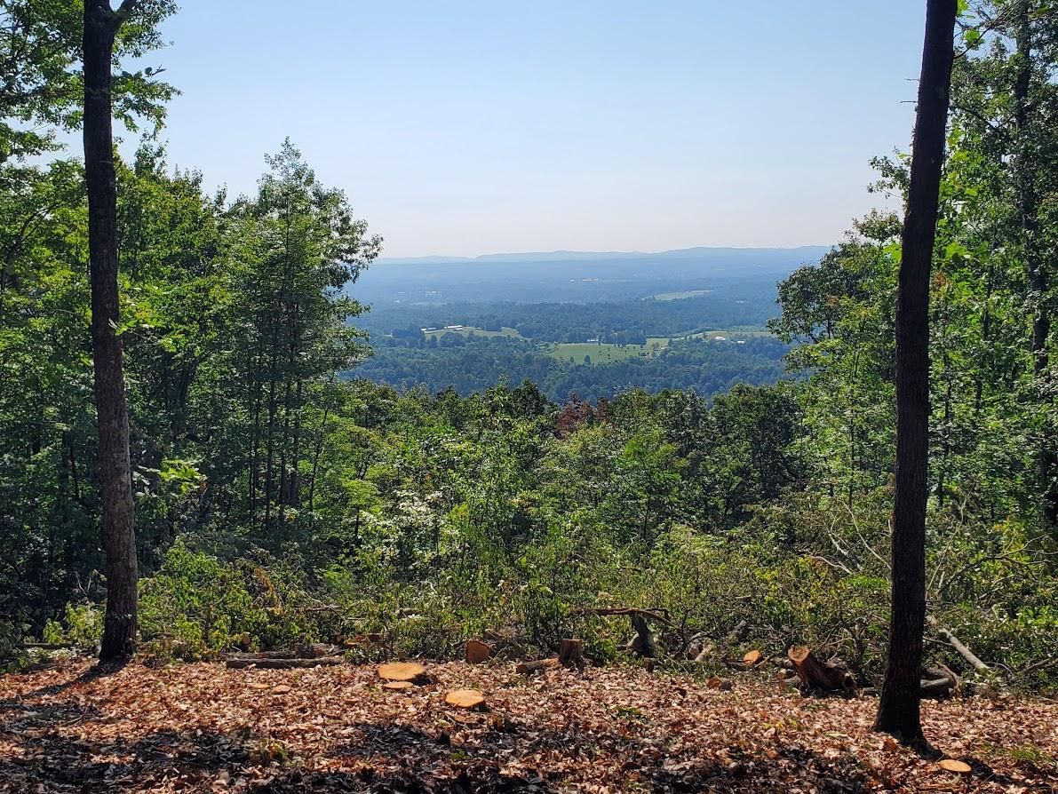 12 acres in Hays, NC, 28635 LandWatch