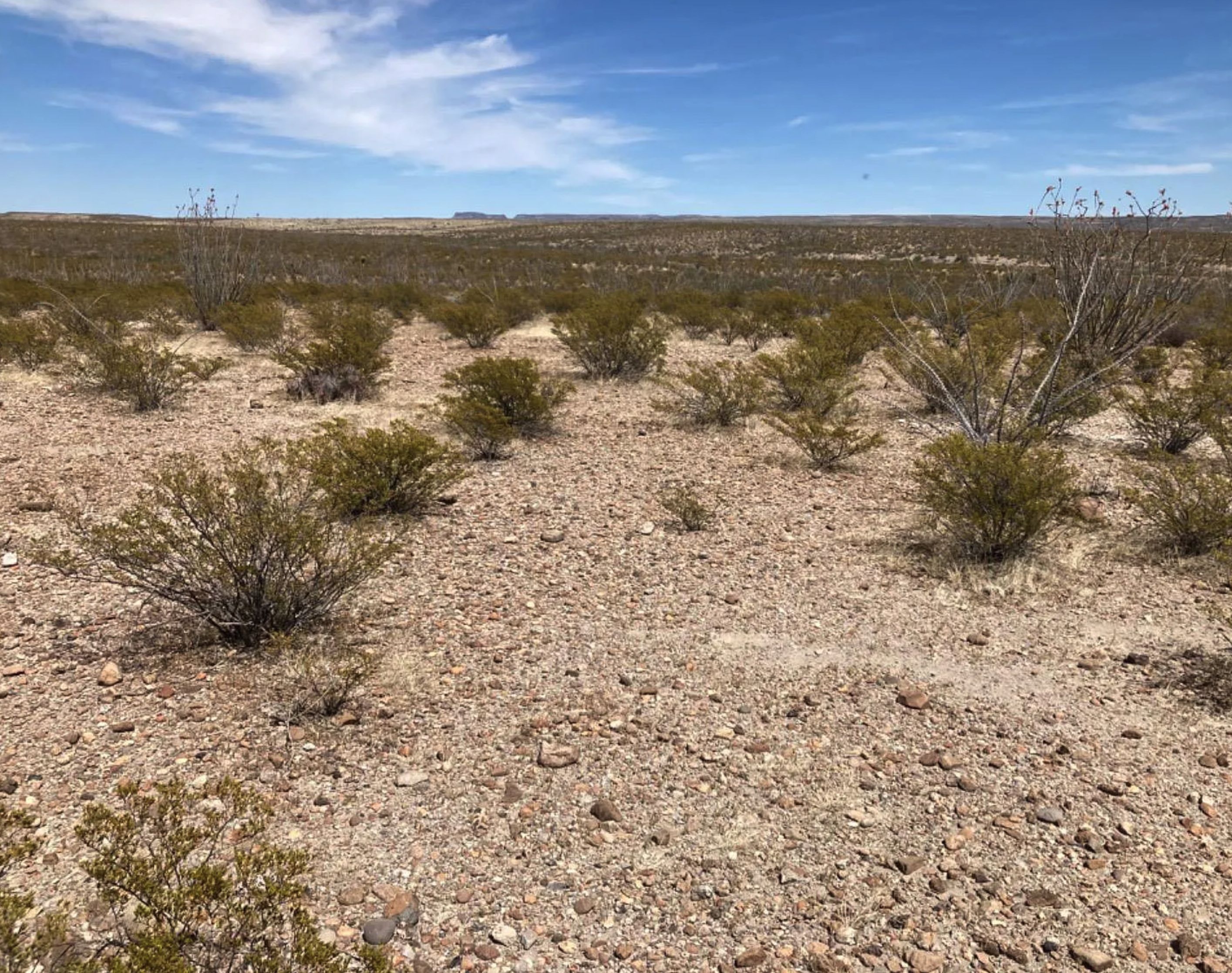 Presidio, Presidio County, TX Recreational Property, Undeveloped Land