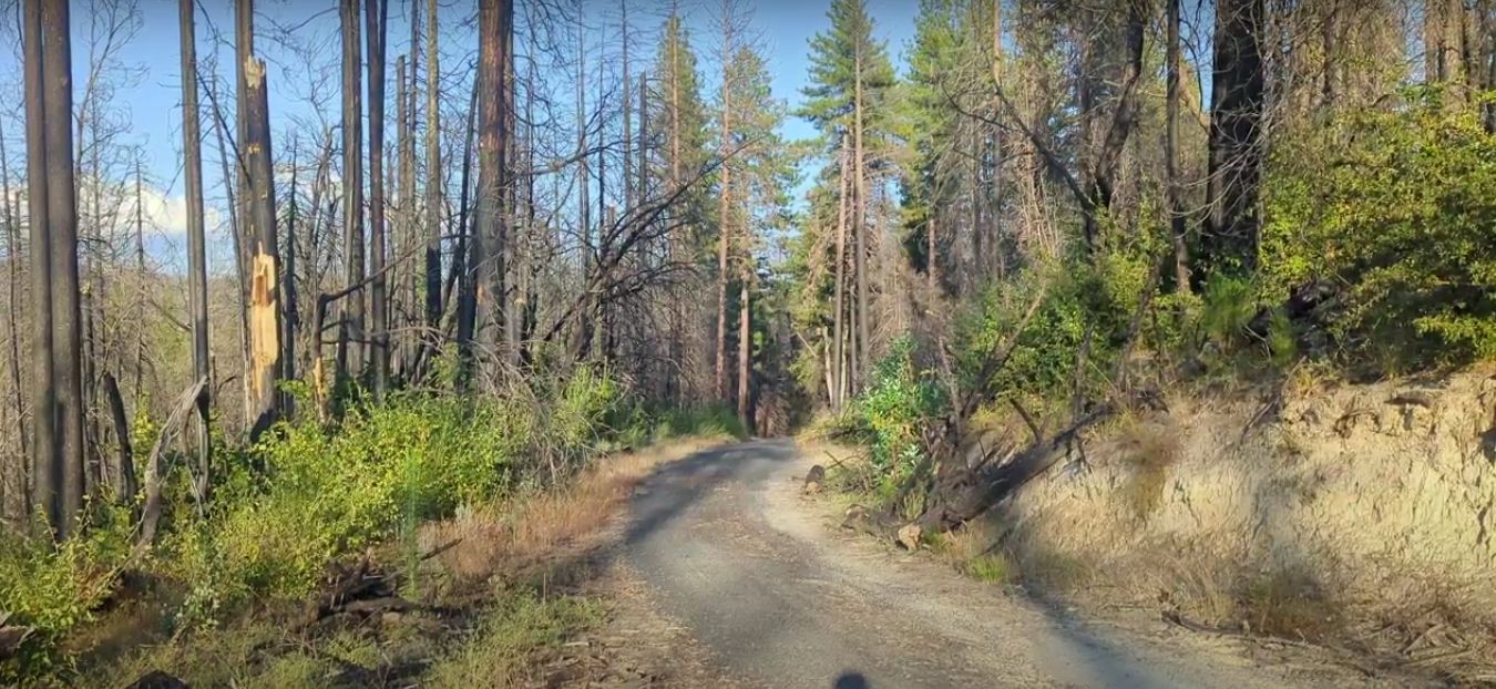 Berry Creek, Butte County, CA Undeveloped Land, Commercial Property