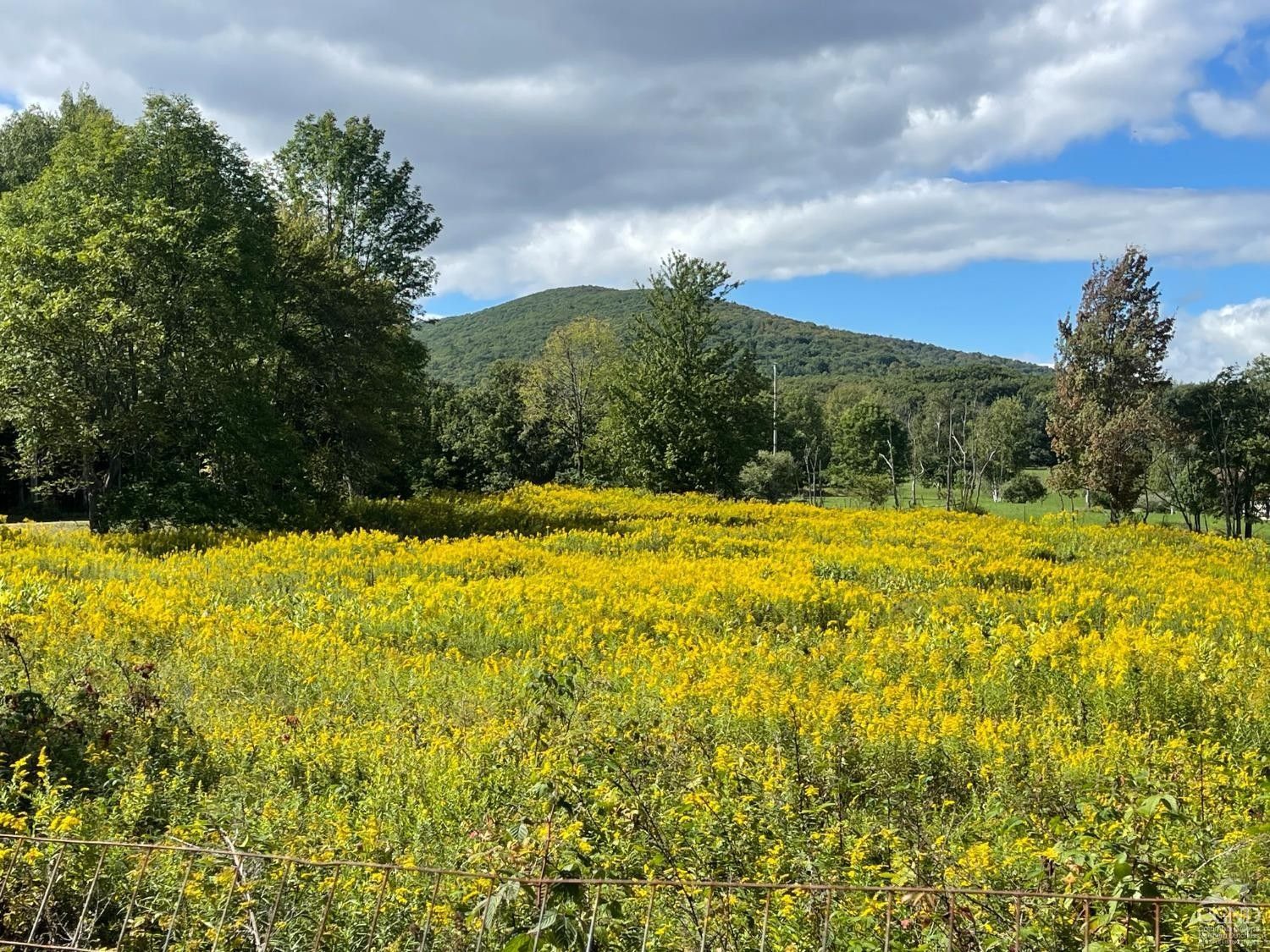 Prattsville, Greene County, NY Farms and Ranches for sale Property ID