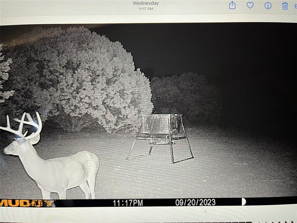 Iredell, Bosque County, TX Farms and Ranches for sale Property ID