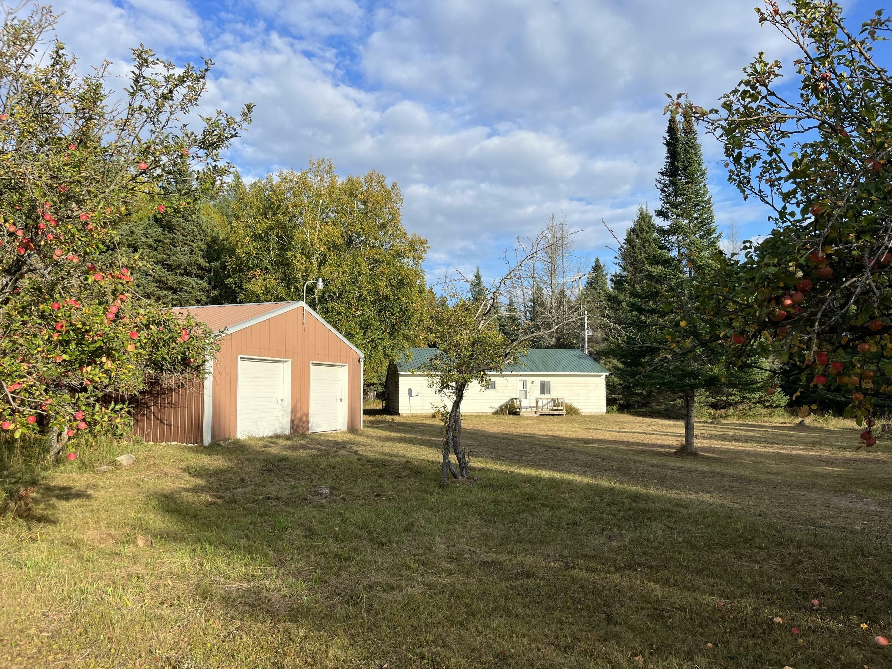 Curtis, Mackinac County, MI House for sale Property ID 417824297