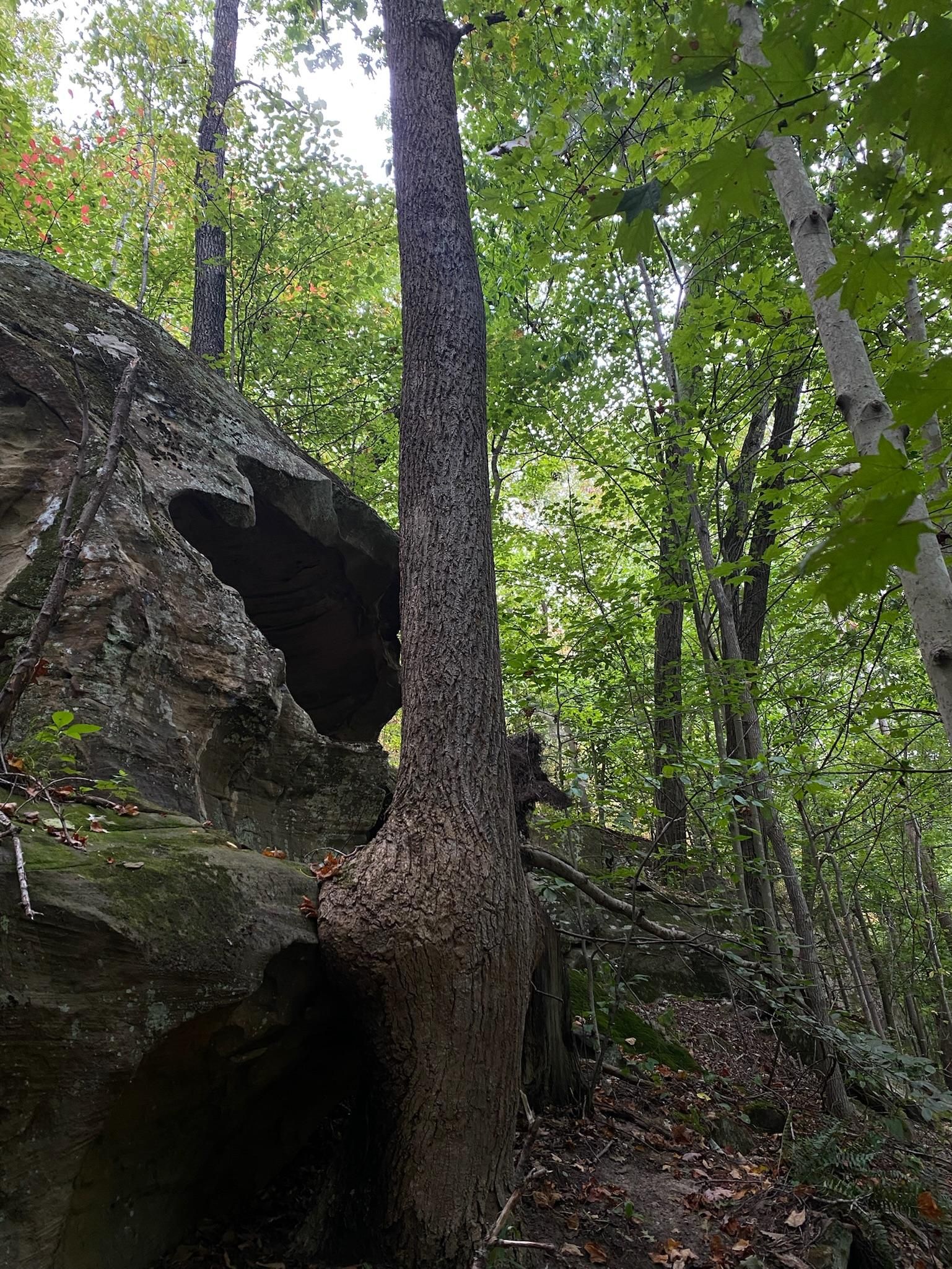 3101 West Happy Ridge Road, Ashland, KY 41101 MLS 23018897 LandWatch