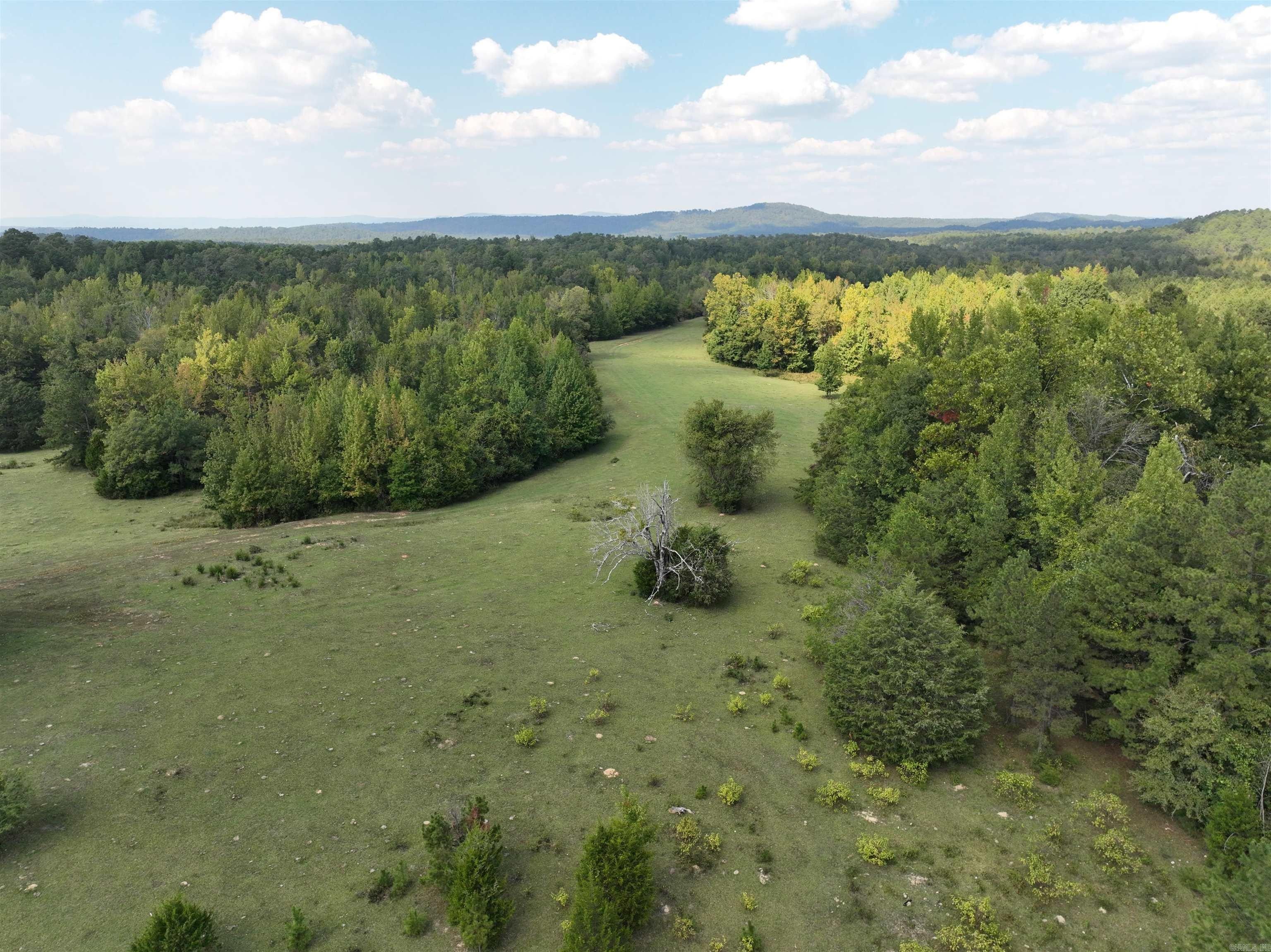 Norman, Montgomery County, AR Undeveloped Land for sale Property ID