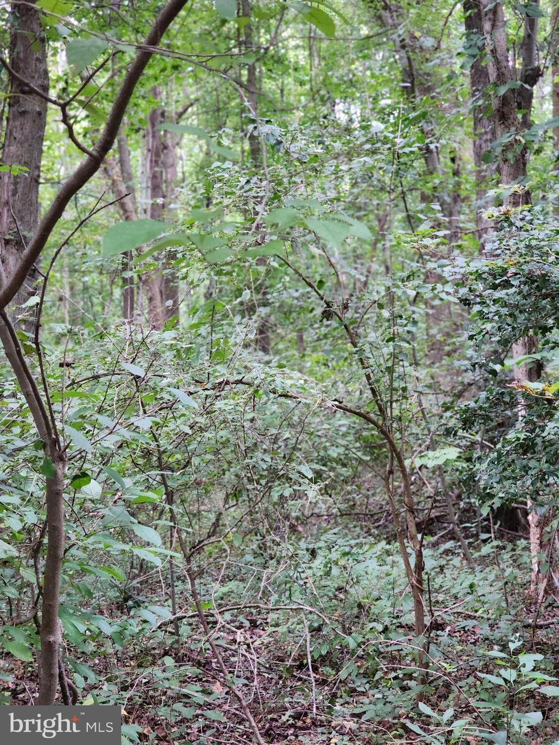 Aquasco, Prince County, MD Undeveloped Land, Homesites for sale