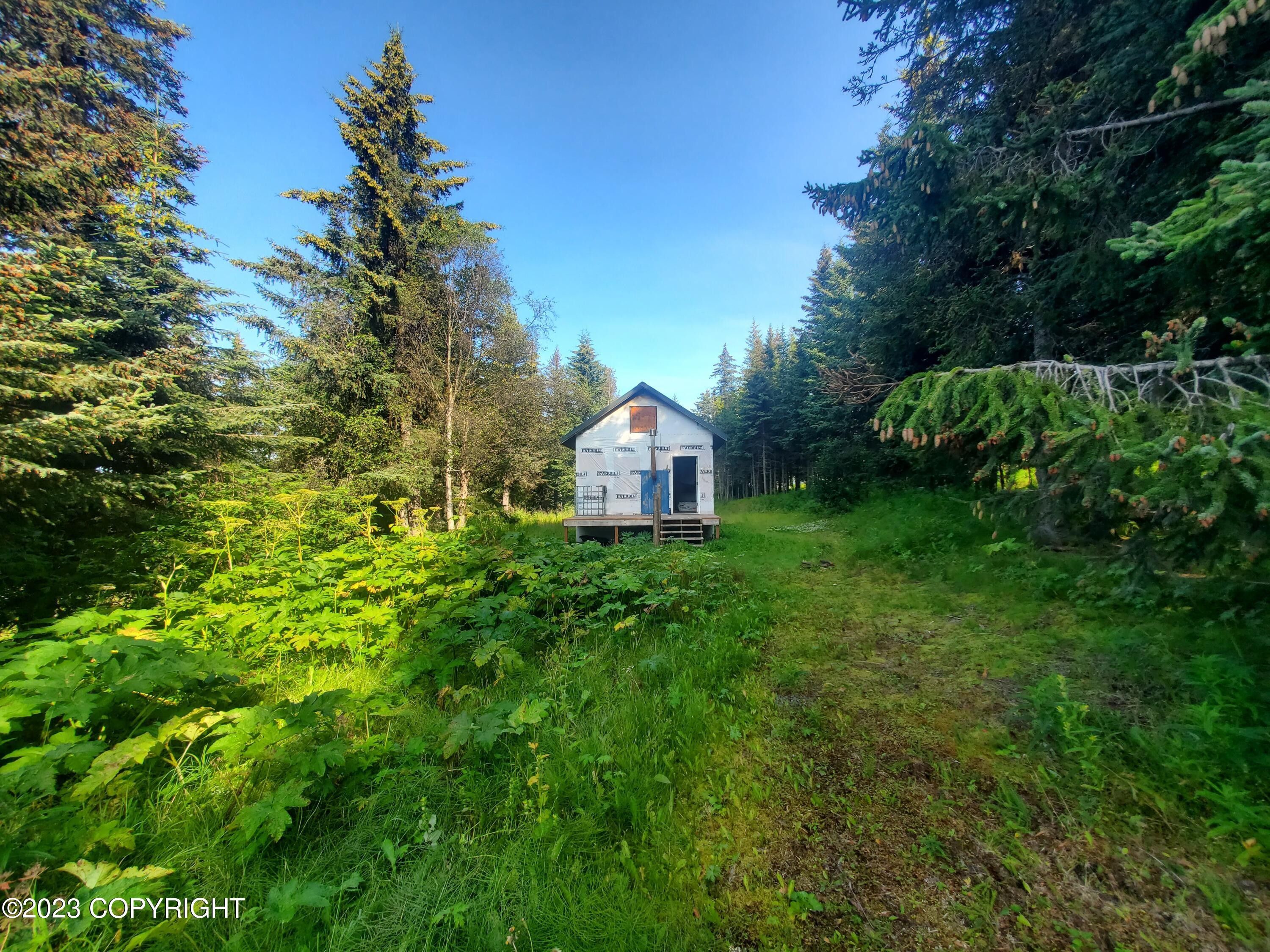 Anchor Point, Kenai Peninsula Borough, AK Lakefront Property