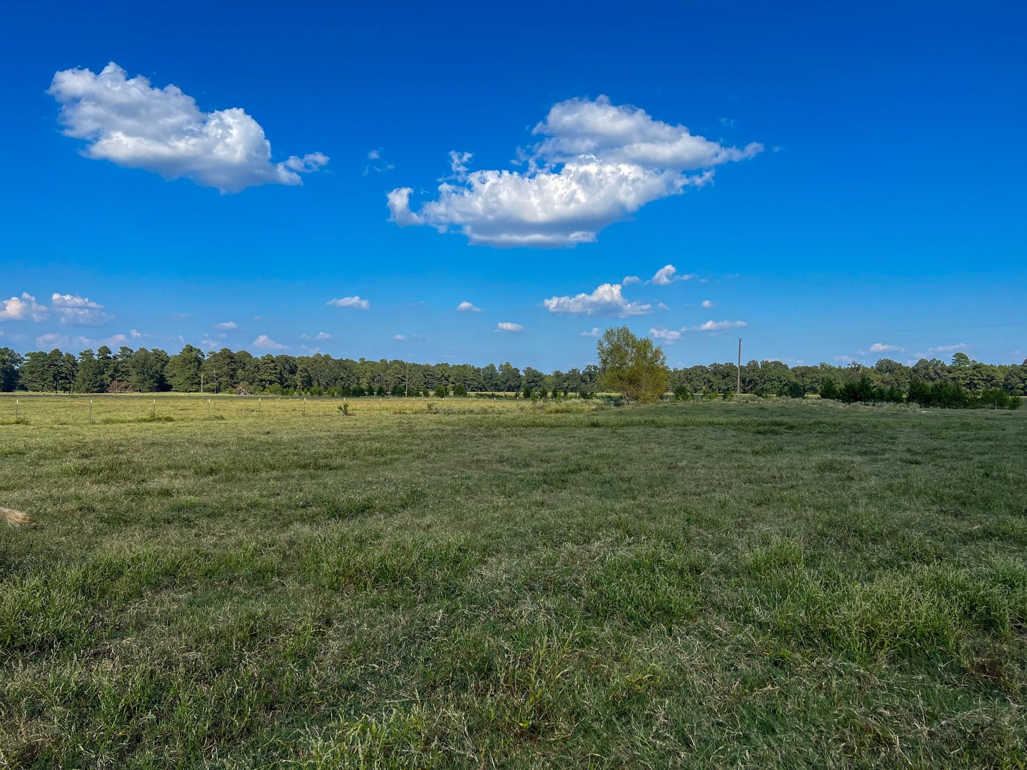 County Road 3107, New Boston, TX 75570 MLS 113177 LandWatch