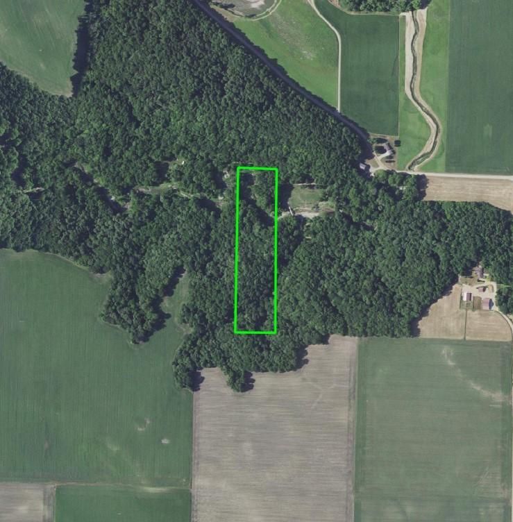 Sleepy Eye, Brown County, MN Timberland Property, Hunting Property for