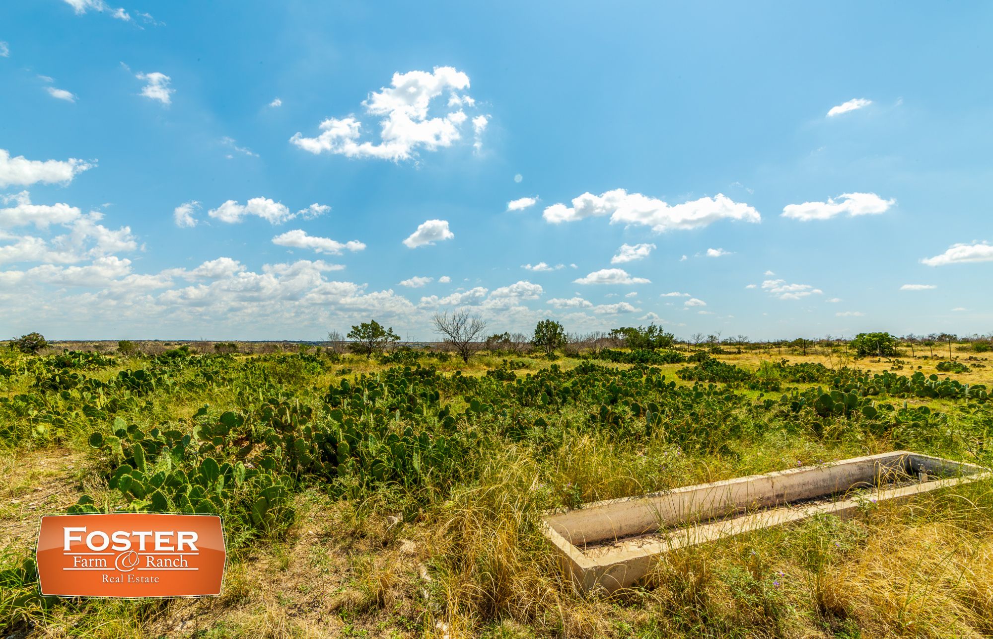 1,609.56 acres in Ozona, TX, 76943 LandWatch