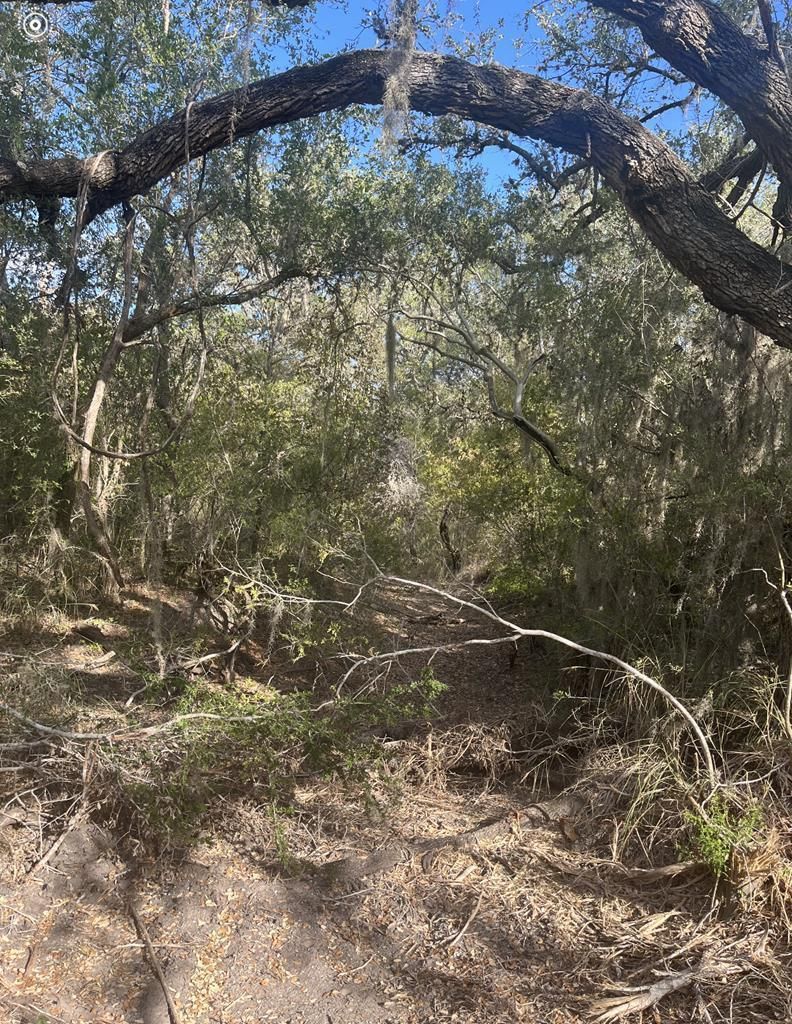 37.73 acres in Beeville, TX, 78102 LandWatch