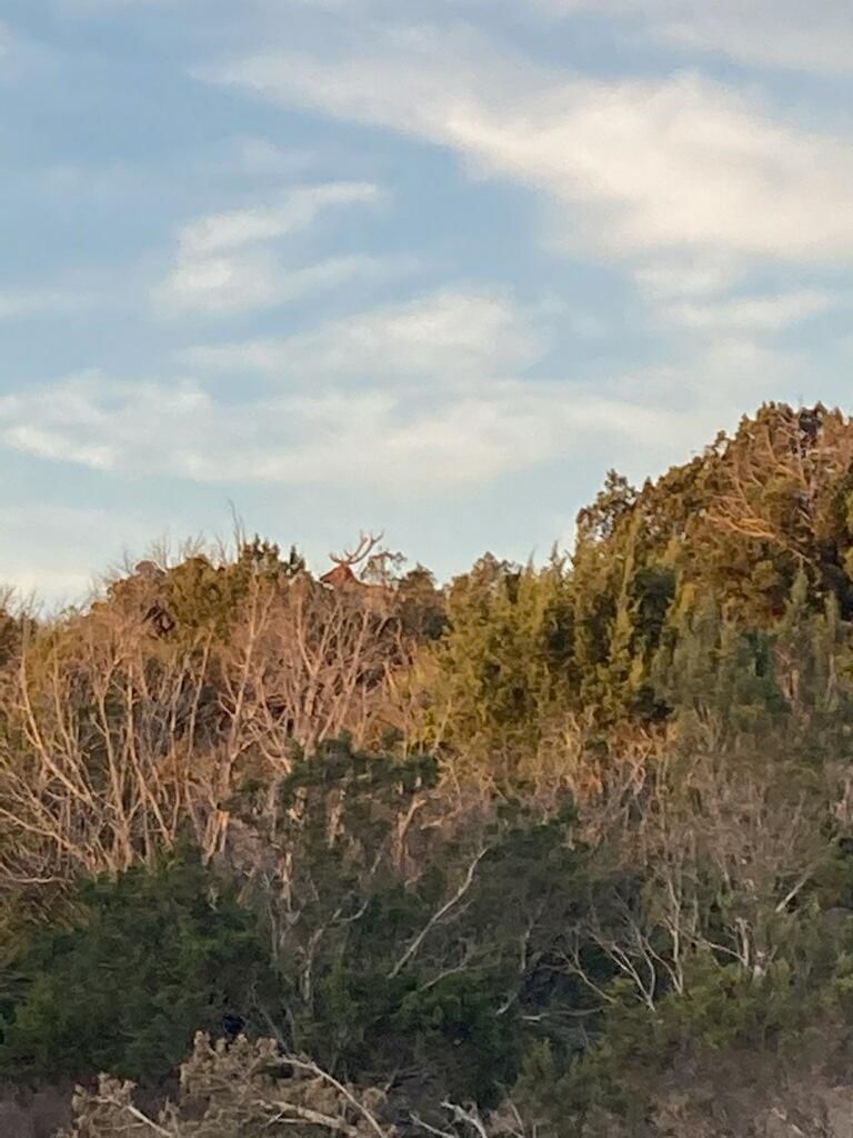 Sonora, Sutton County, TX Farms and Ranches, Recreational Property