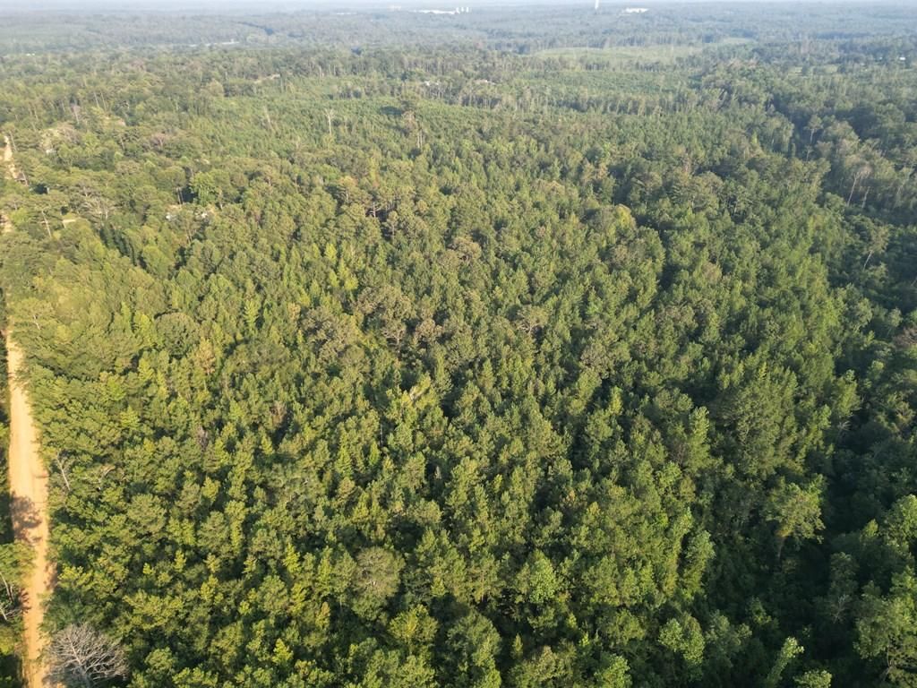 Troy, Pike County, AL Recreational Property, Timberland Property
