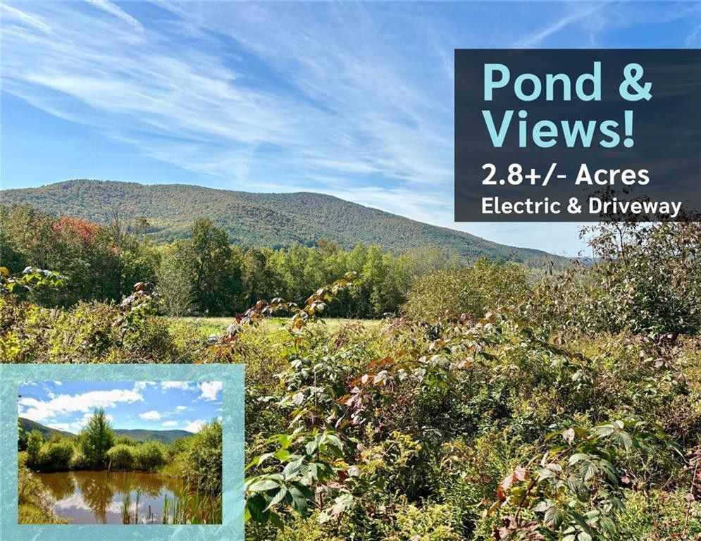 Hobart, Delaware County, NY Undeveloped Land, Homesites for sale