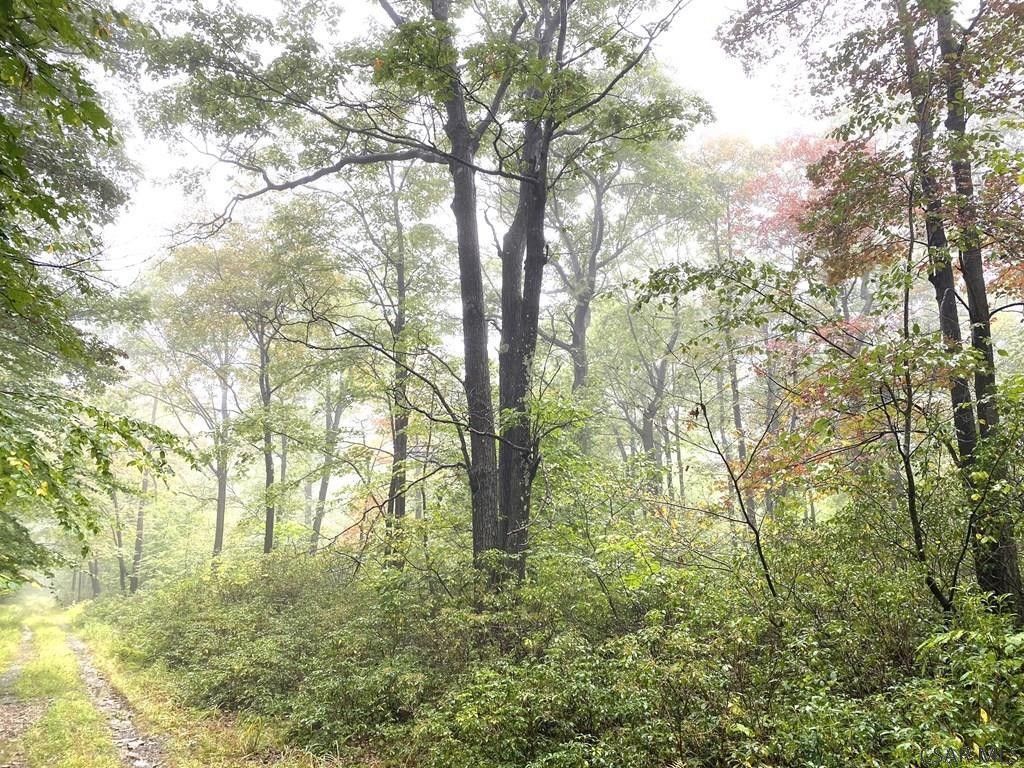 Central City, Somerset County, PA Undeveloped Land for sale Property ID
