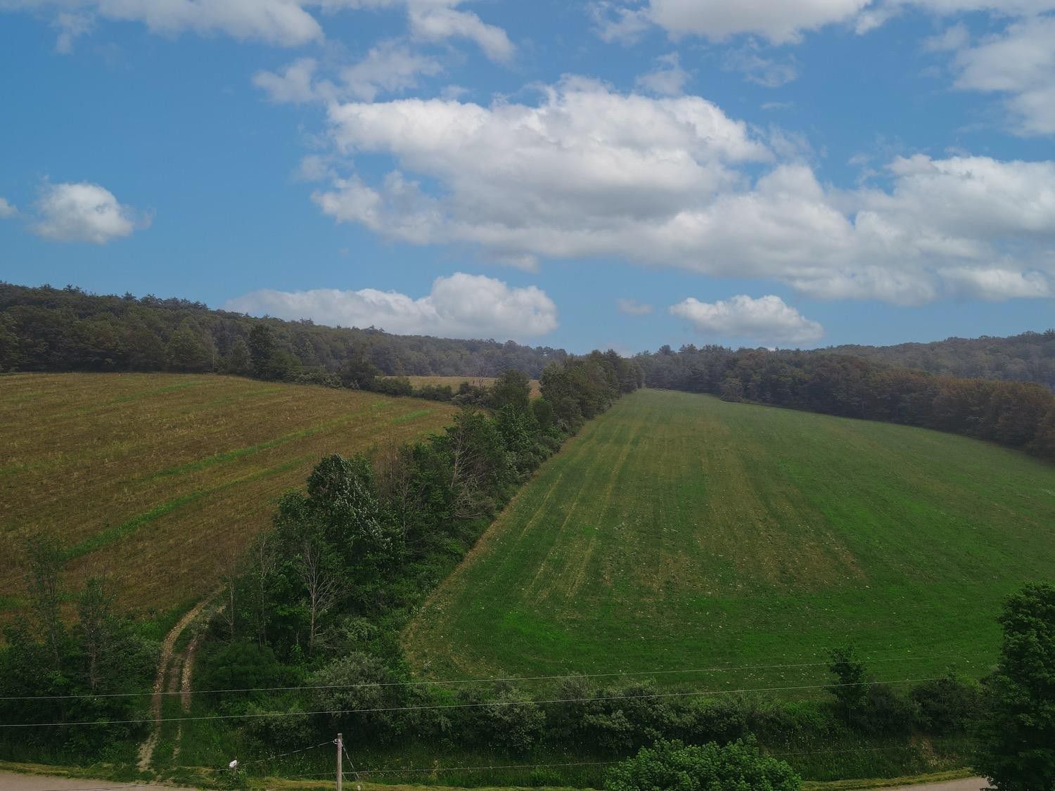 Spencer, Tioga County, NY Undeveloped Land for sale Property ID