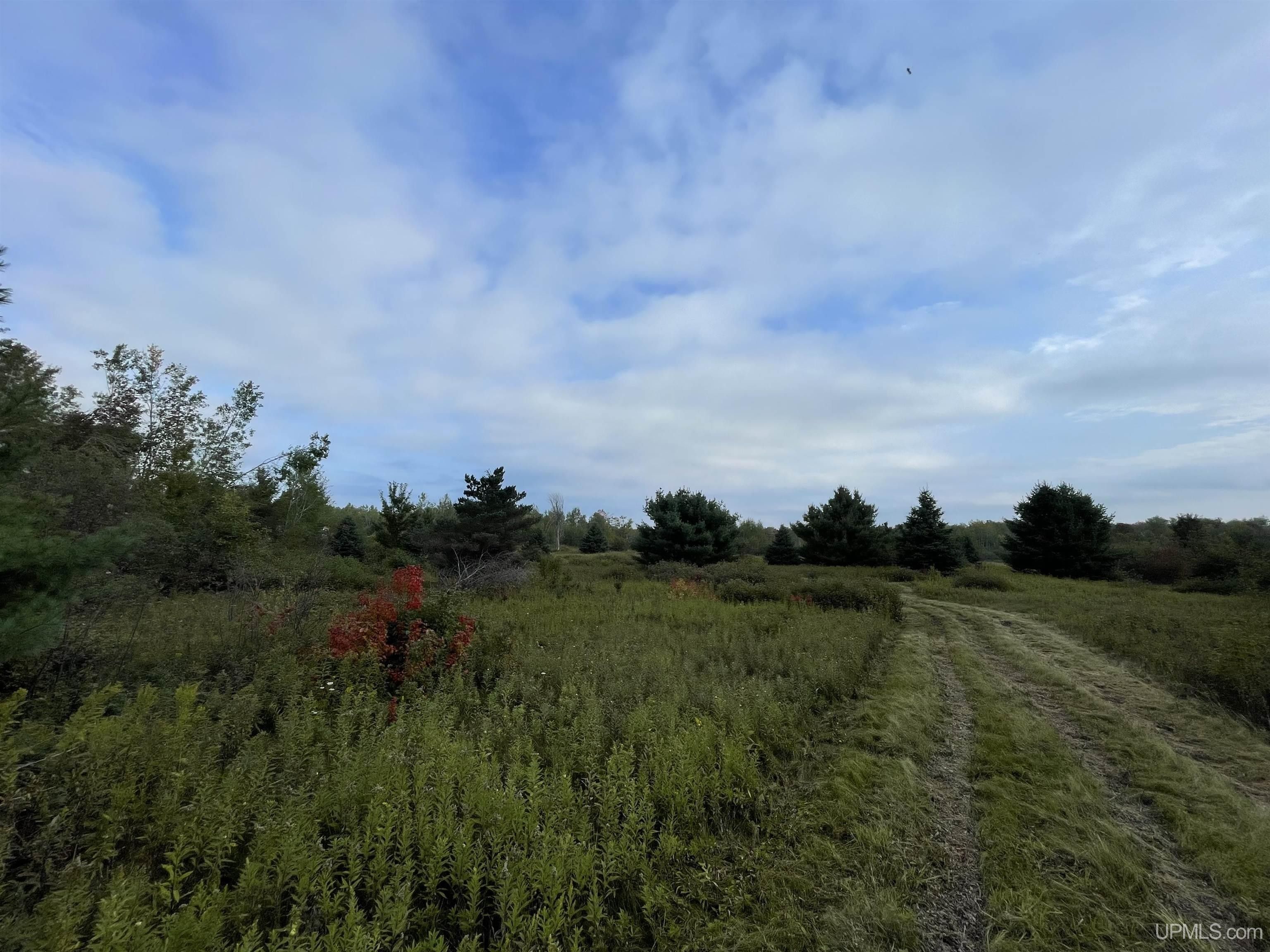 Baraga, Baraga County, MI Undeveloped Land, Homesites for sale Property